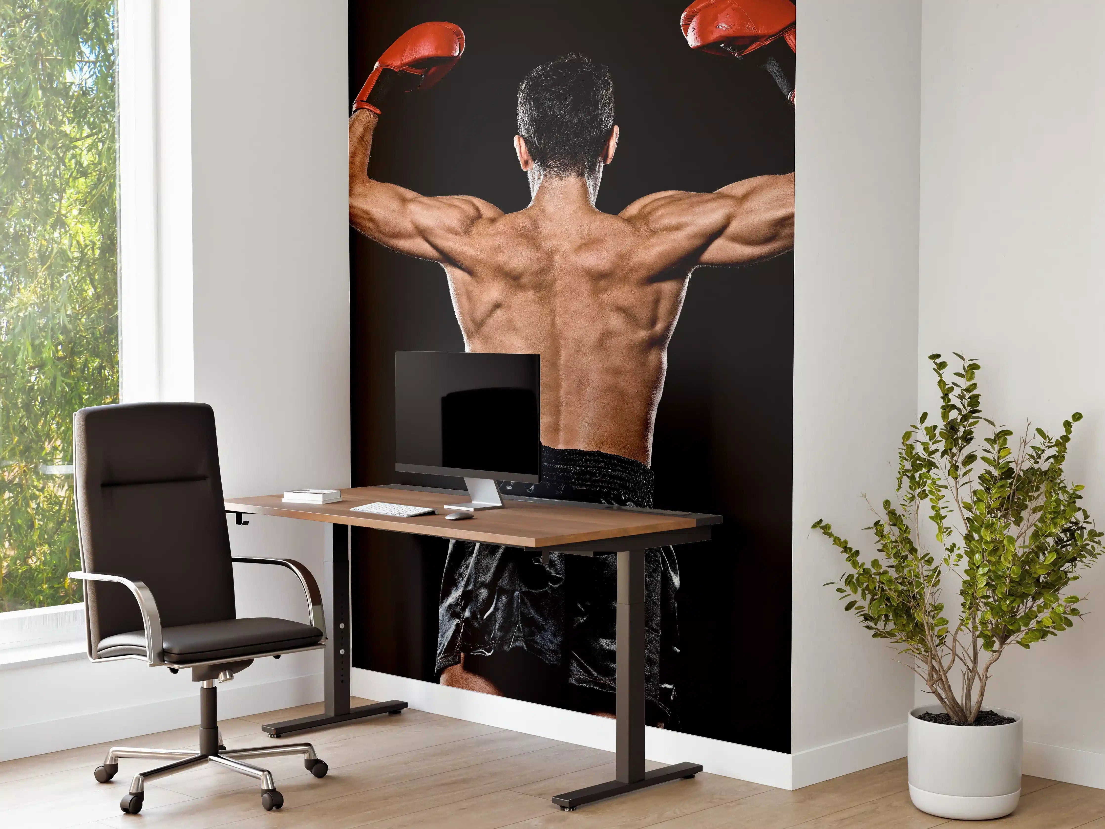 Büro Wandgestaltung - Kaukasischer Boxer auf schwarzem Hintergrund
