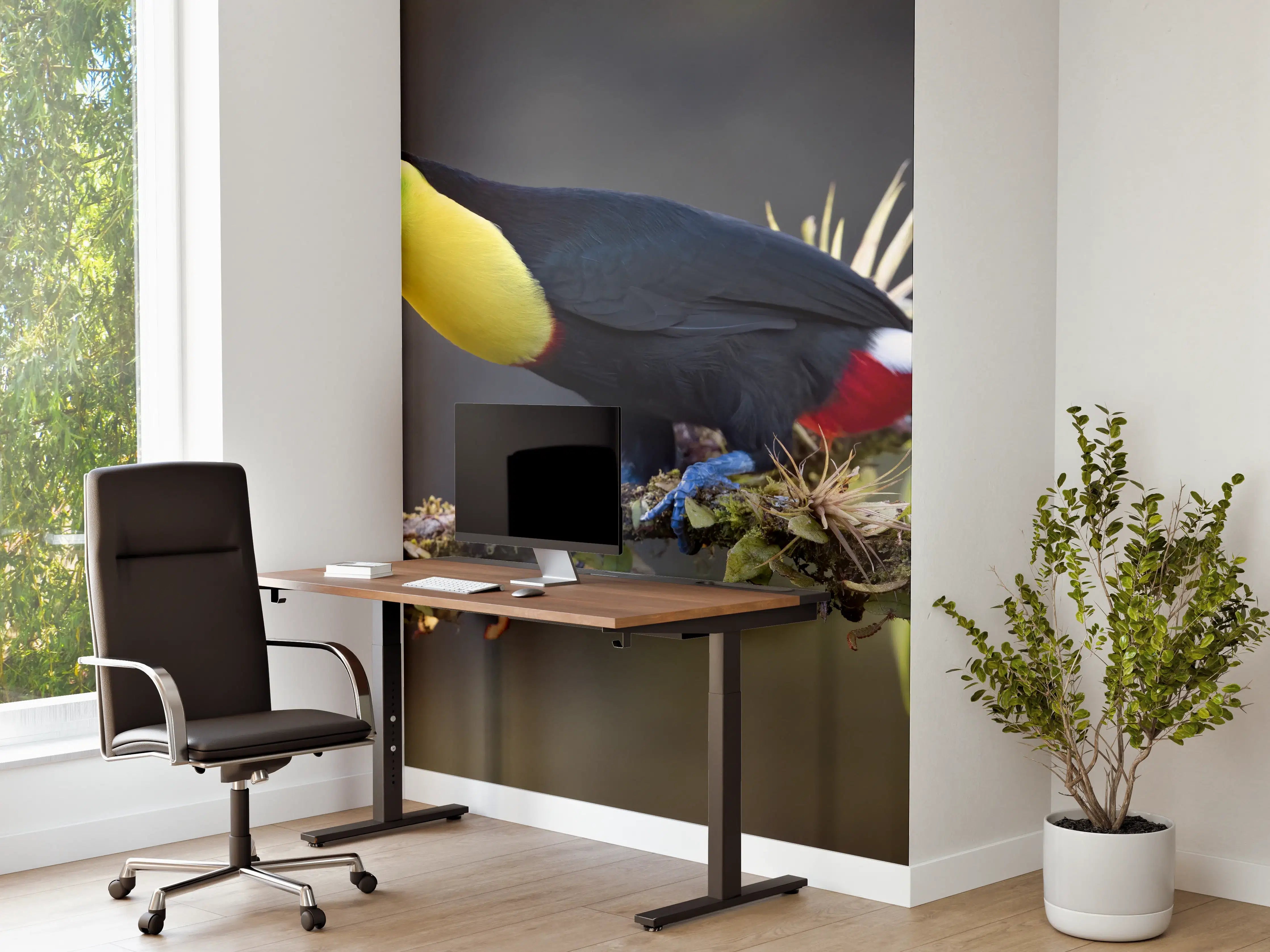 Büro Wandgestaltung - Kielschnabeltukan auf Ast