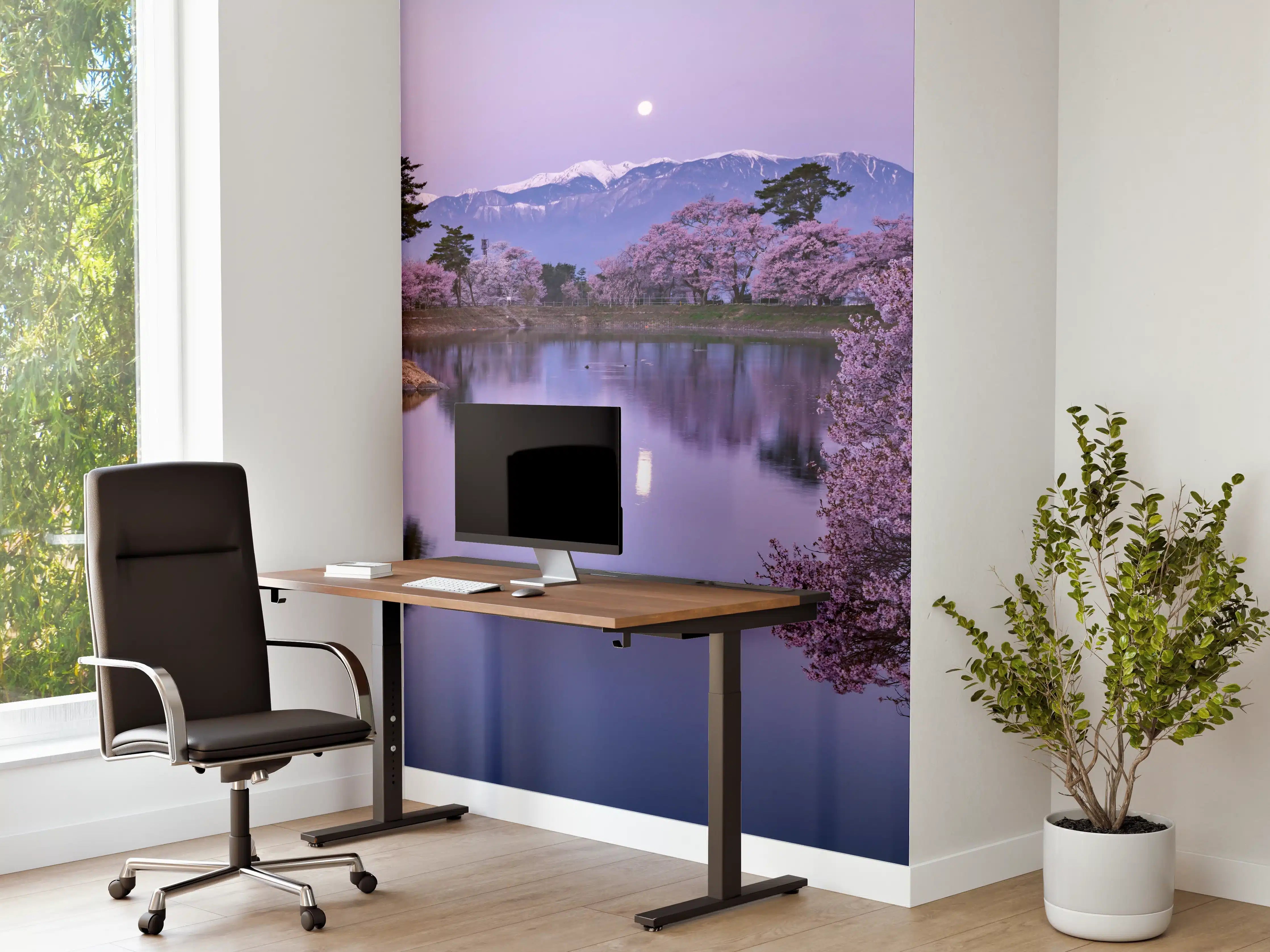 Büro Wandgestaltung - Kirschblüte - Vollmond
