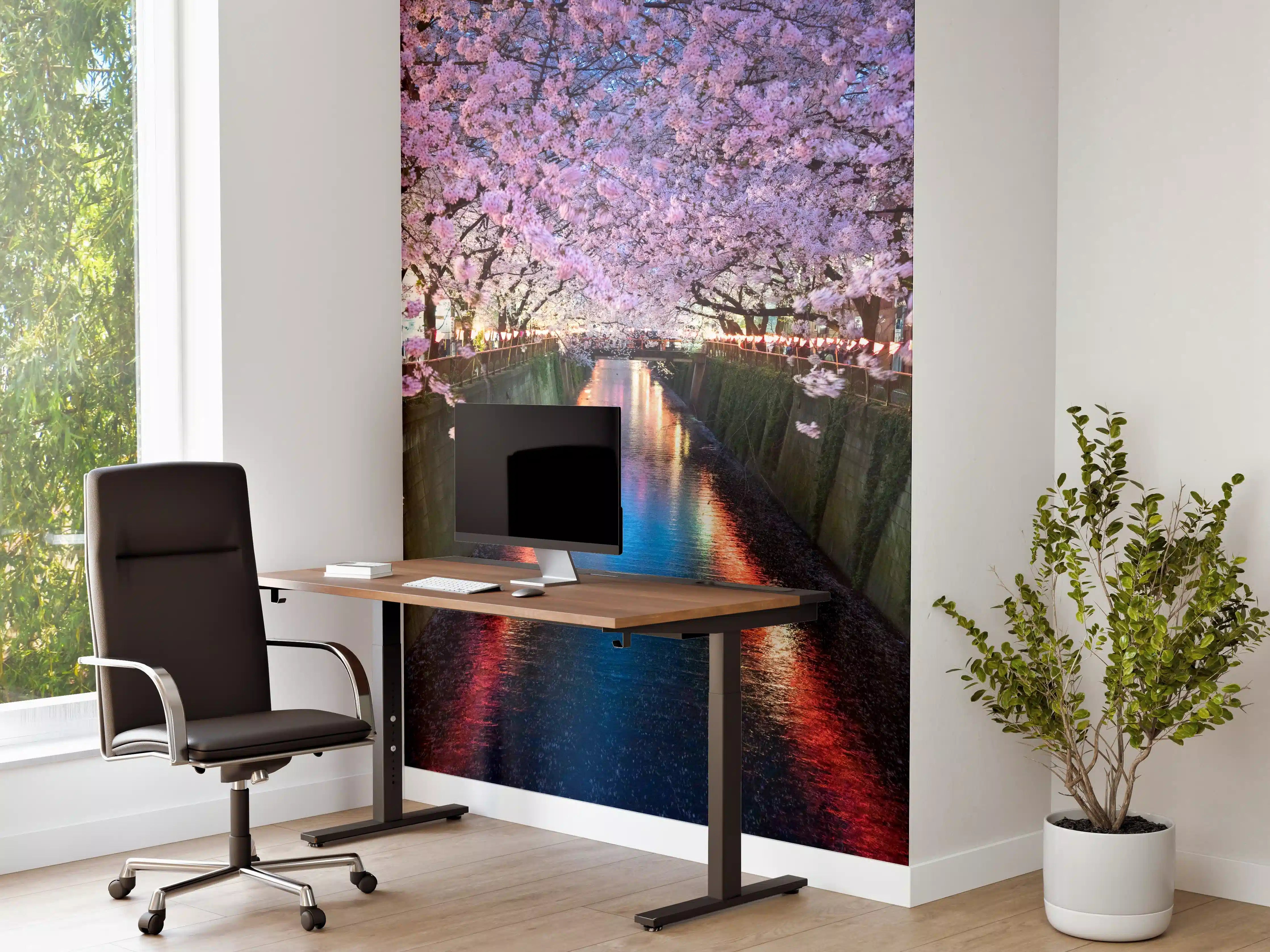 Büro Wandgestaltung - Kirschblüten bei Nacht Nakameguro - Tokio