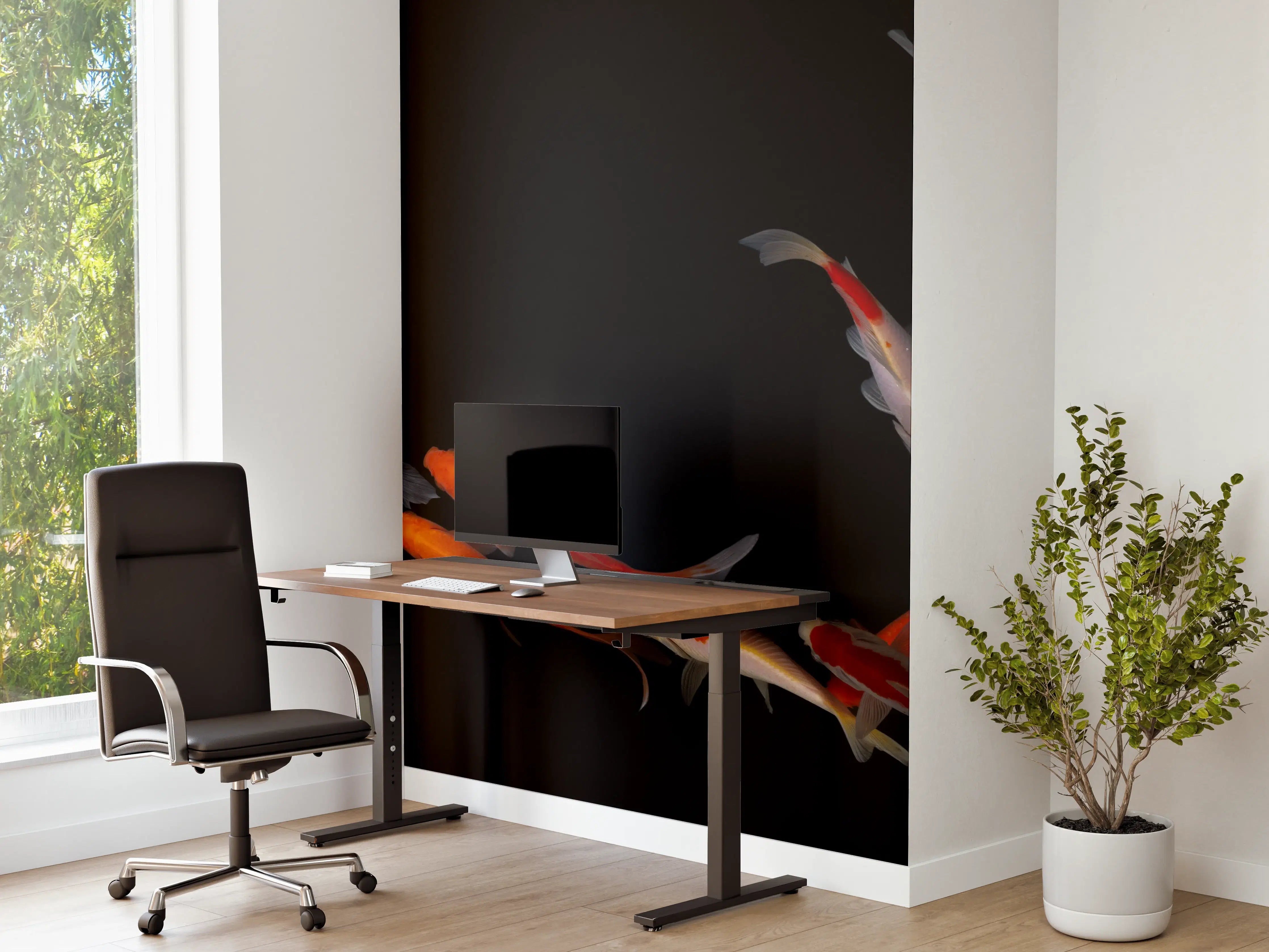 Büro Wandgestaltung - Koi Fische auf schwarzem Hintergrund