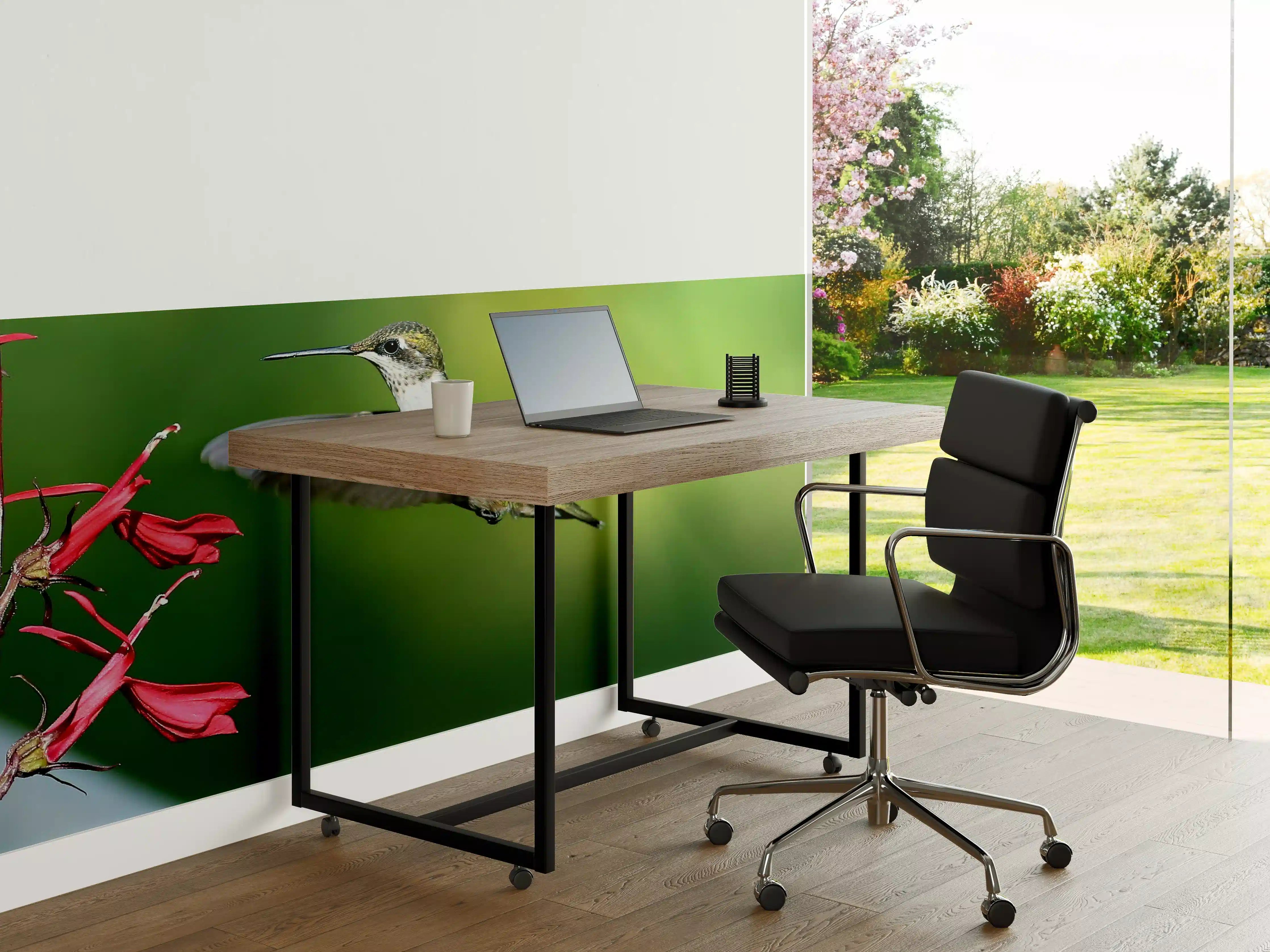 Büro Wandgestaltung - Kolibri-Weibchen im Flug