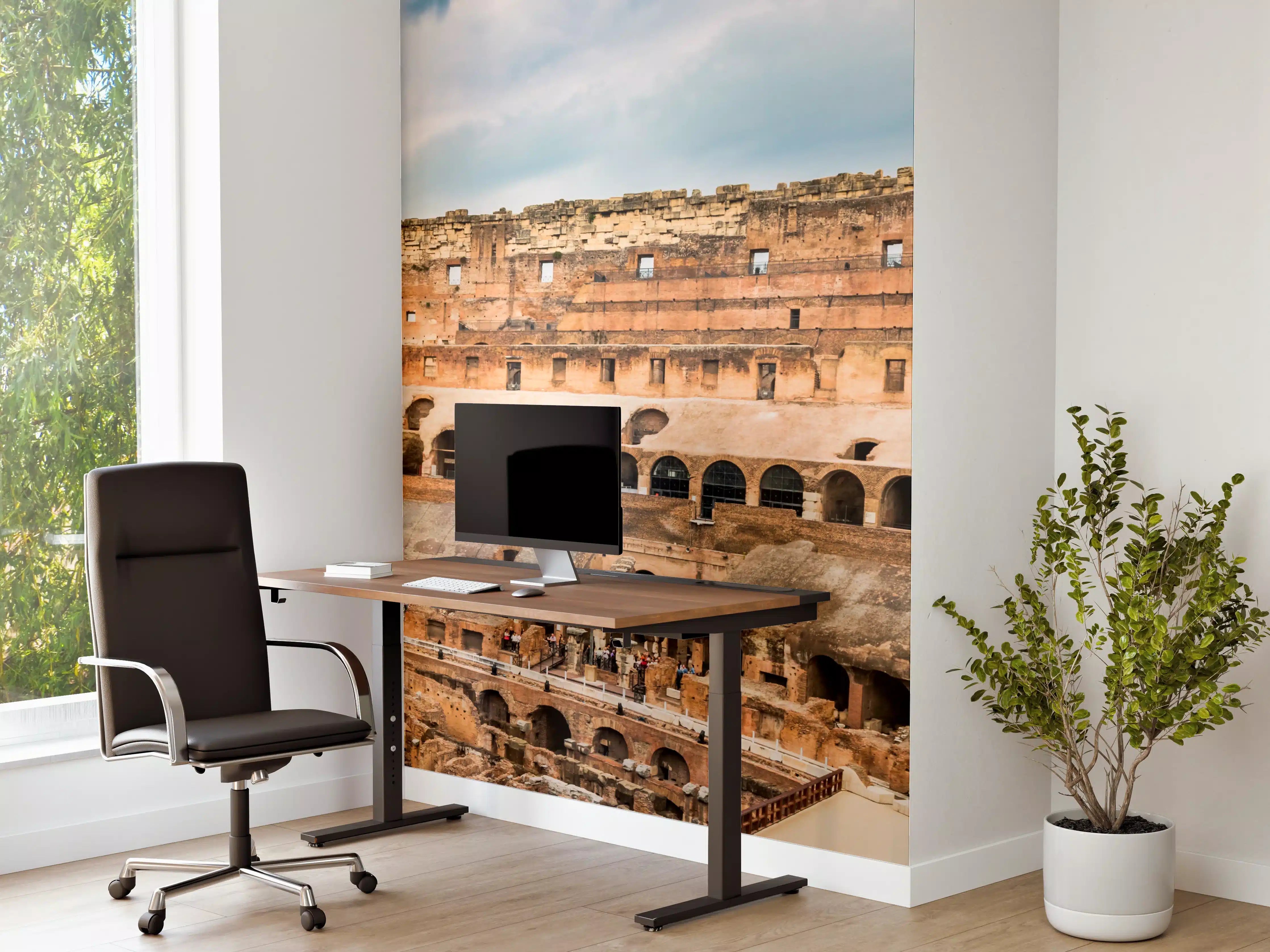 Büro Wandgestaltung - Kolosseum Panorama in Beige