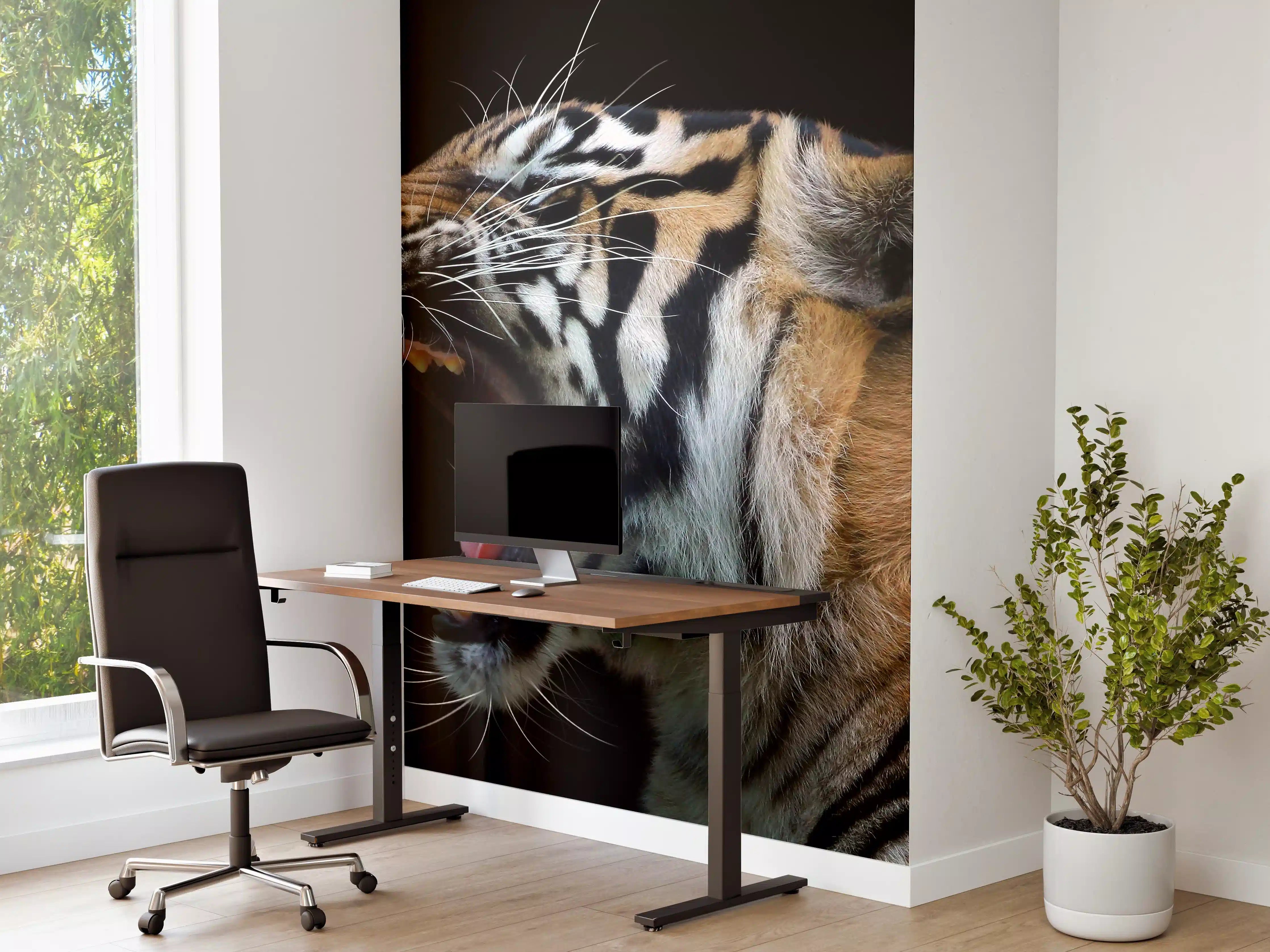 Büro Wandgestaltung - Kopf eines Sumatra-Tigers