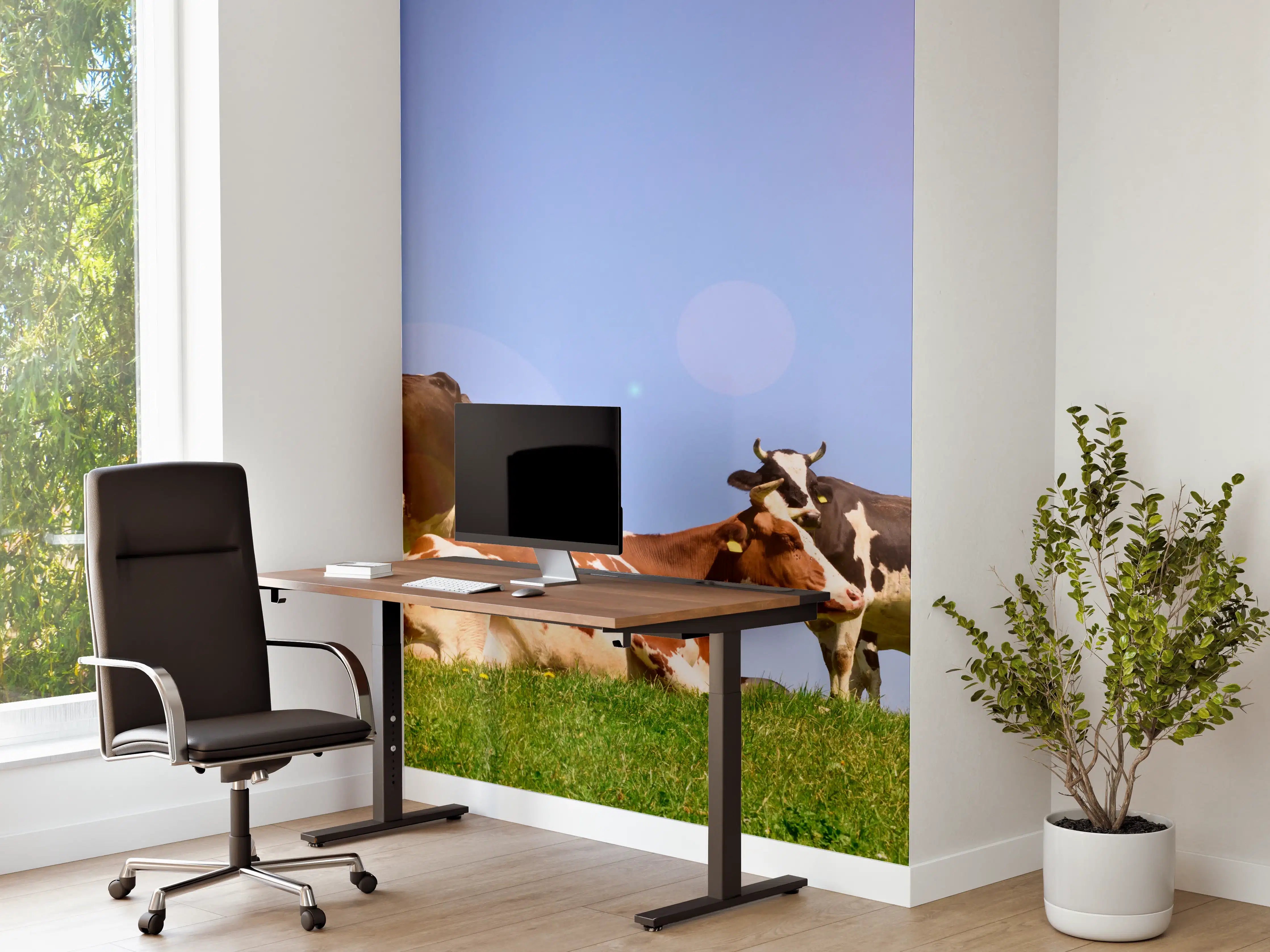 Büro Wandgestaltung - Kuhherde auf grüner Wiese