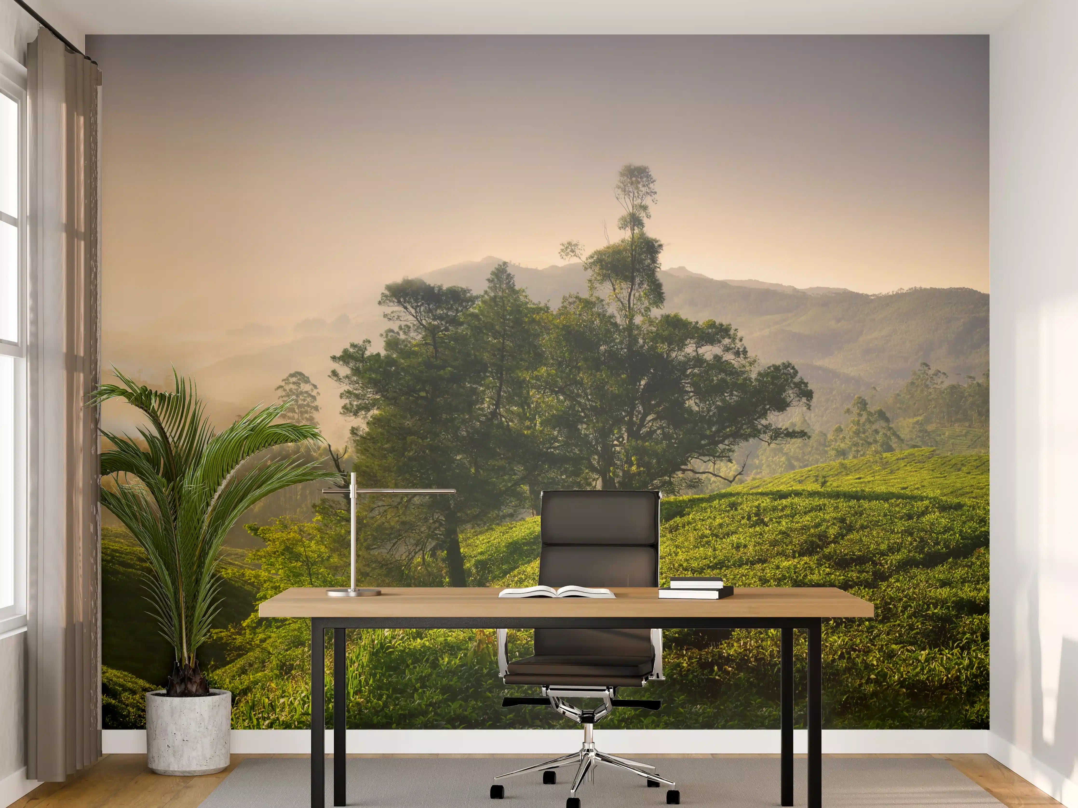 Büro Wandgestaltung - Landschaft mit Hügeln und Bäumen im Morgenlicht