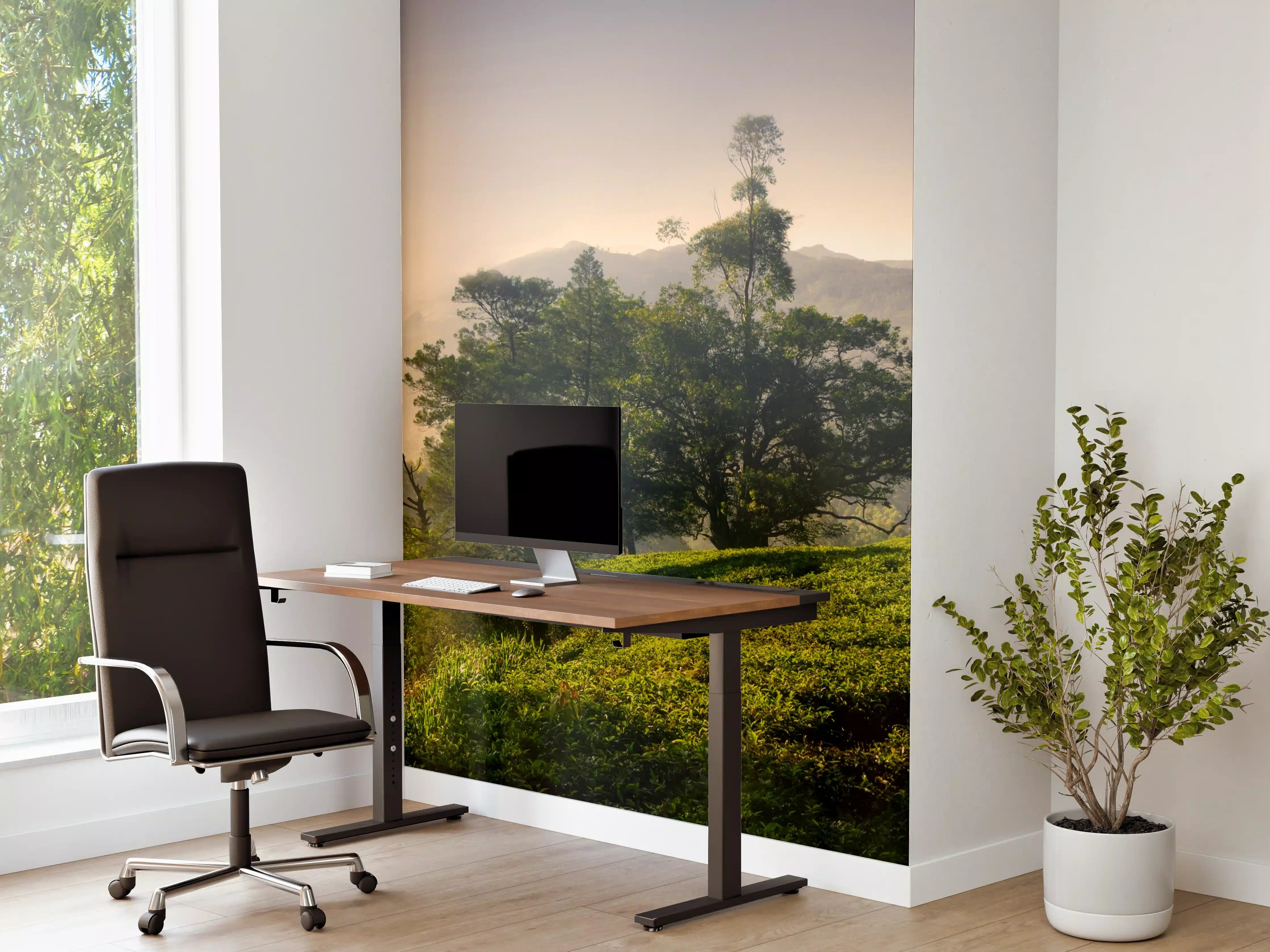 Büro Wandgestaltung - Landschaft mit Hügeln und Bäumen im Morgenlicht