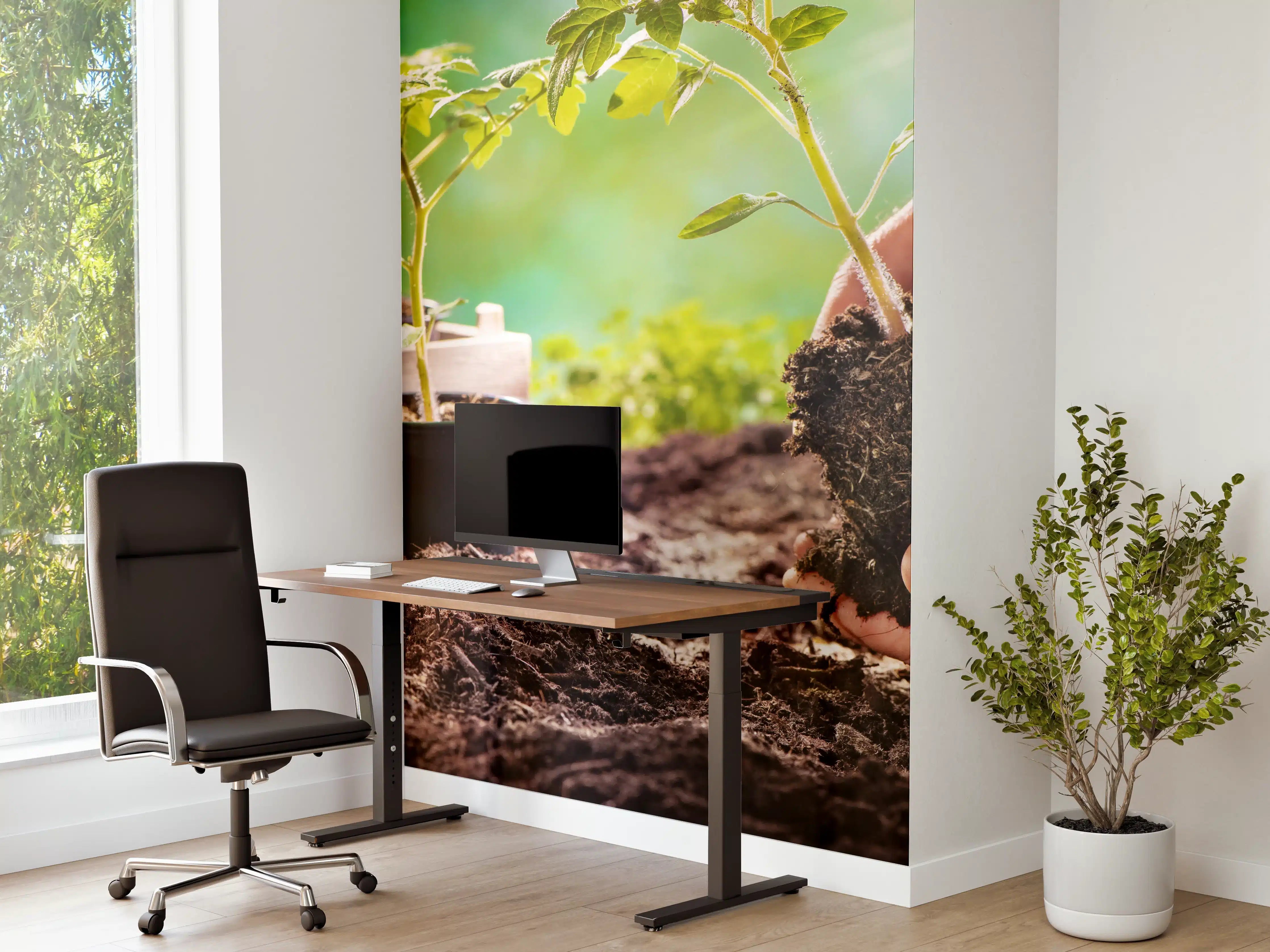 Büro Wandgestaltung - Landwirt pflanzt Tomatensetzlinge 