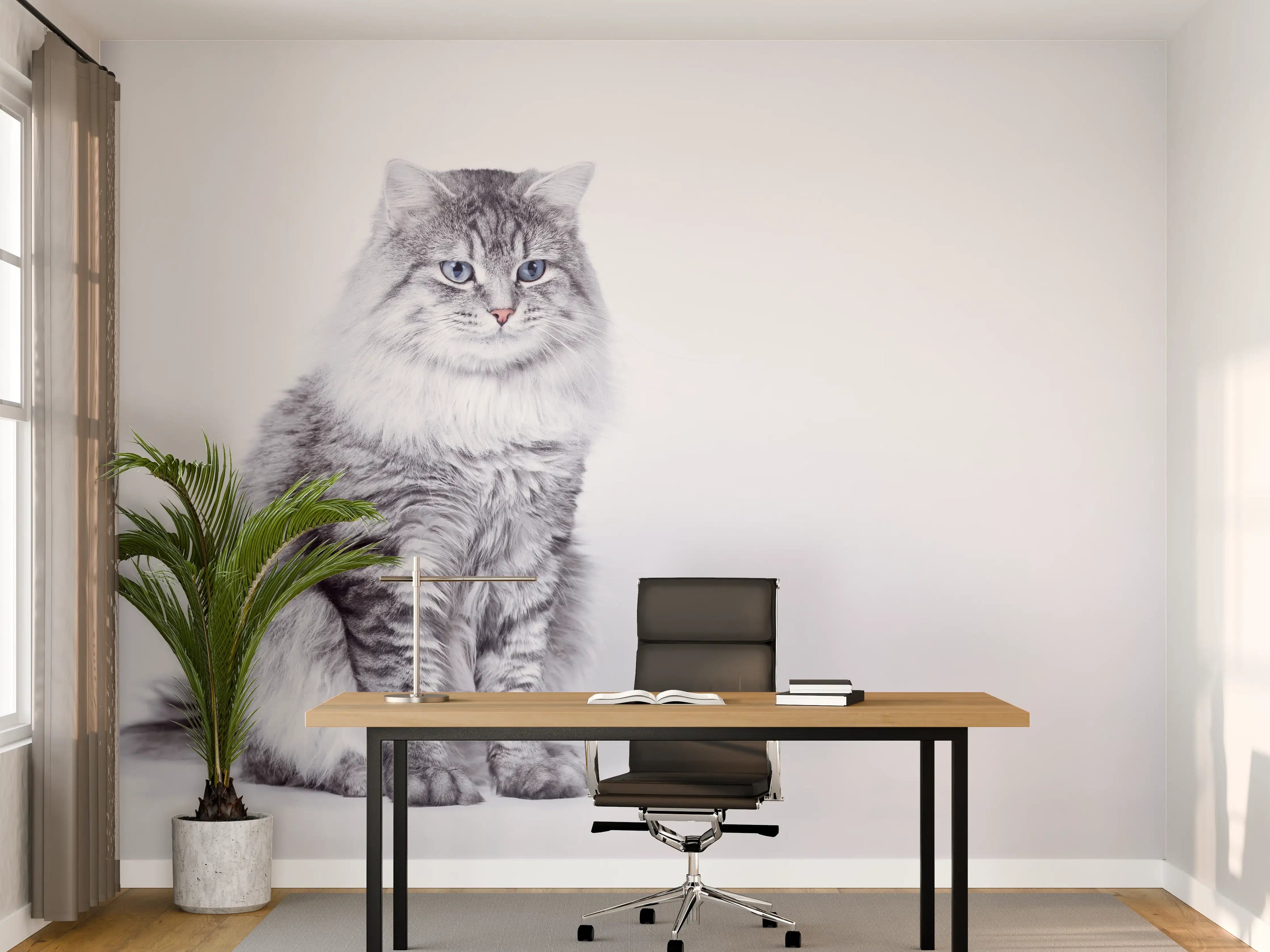 Büro Wandgestaltung - Langhaar Kätzchen mit schönen blauen Augen