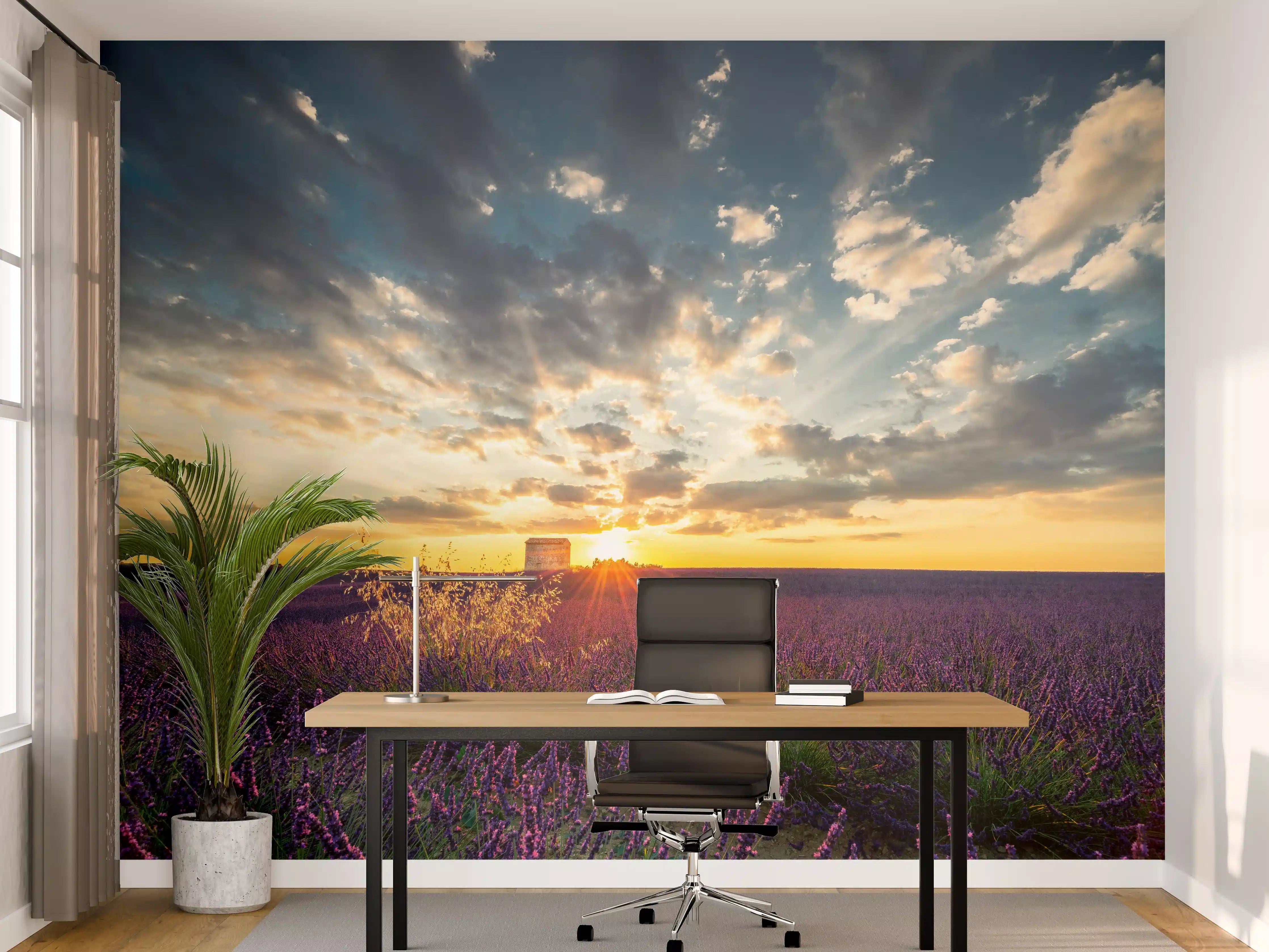 Büro Wandgestaltung - Lavendel Feld im Sommer in der Provence