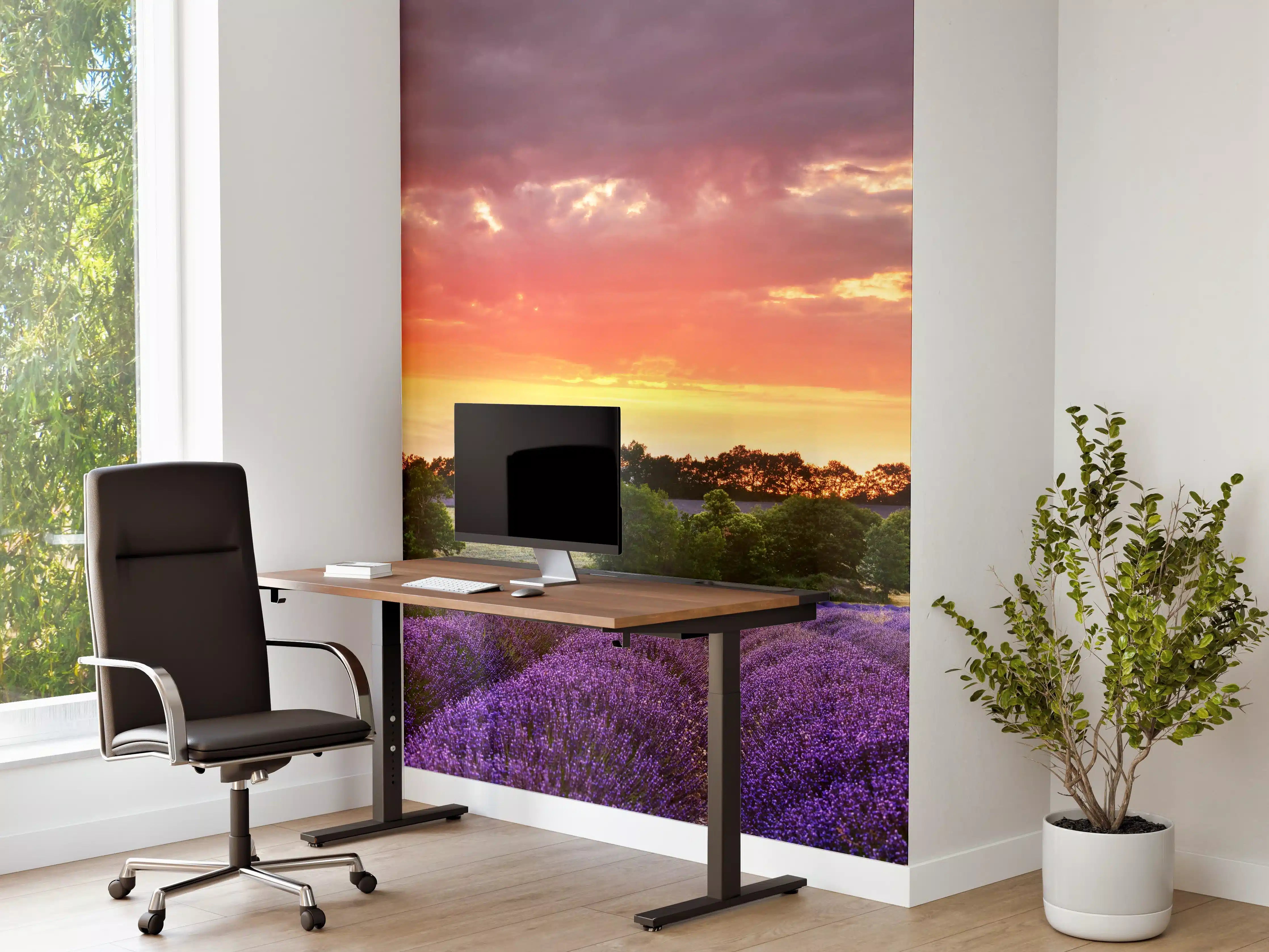 Büro Wandgestaltung - Lavendelfeld bei Sonnenuntergang