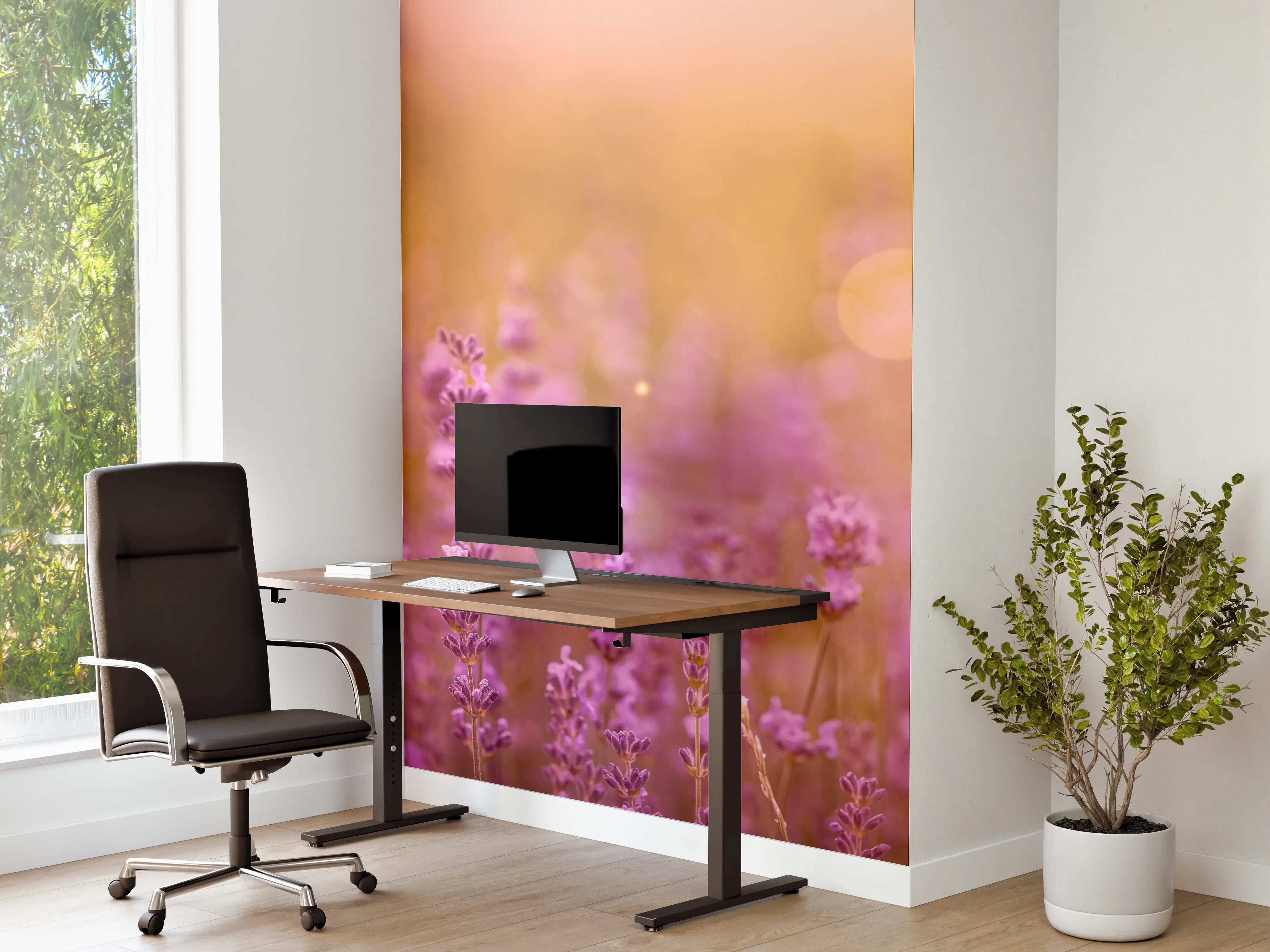 Büro Wandgestaltung - Lavendelfeld im warmen Abendlicht