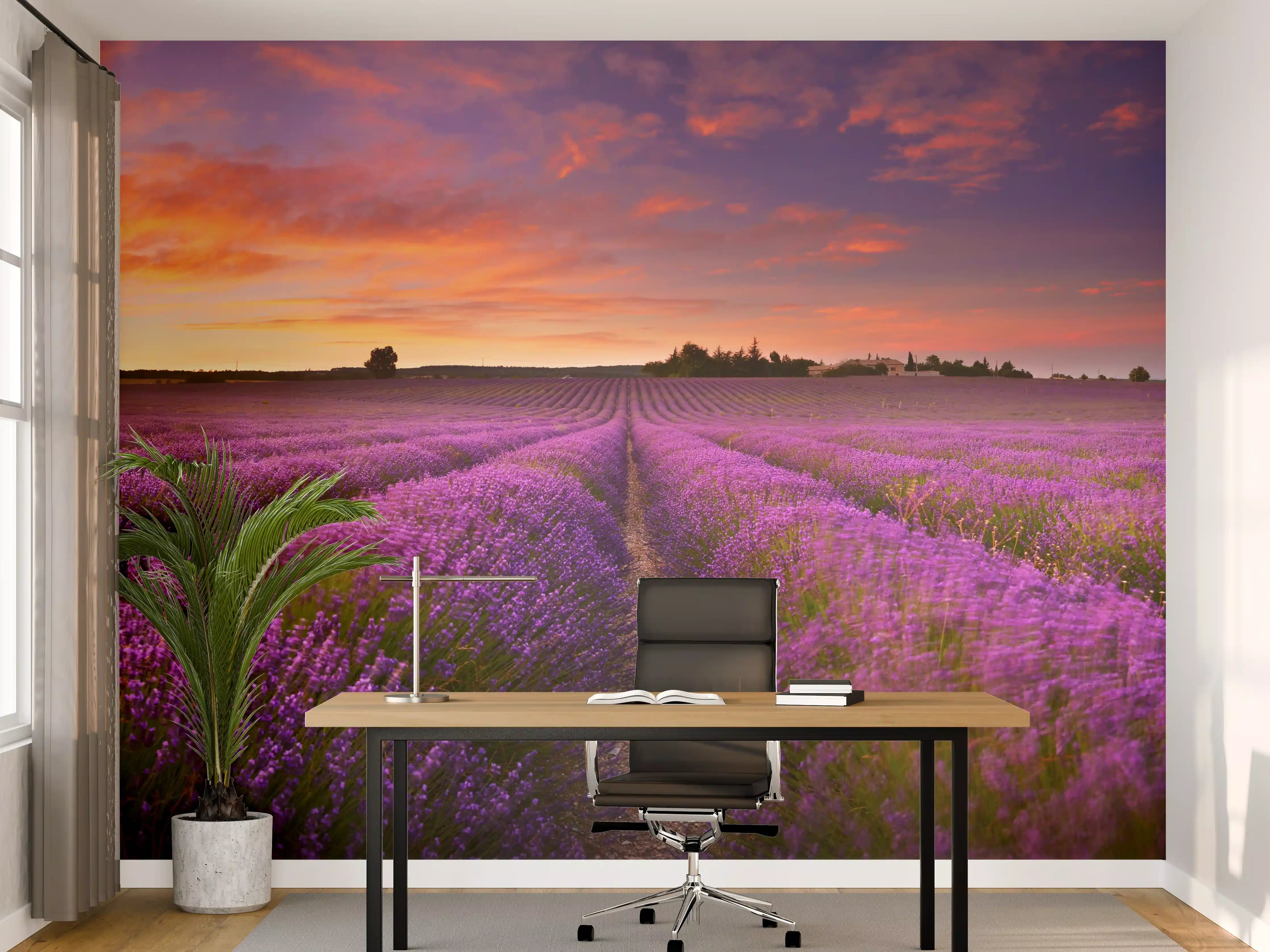 Büro Wandgestaltung - Lavendelfeld in der Morgendämmerung