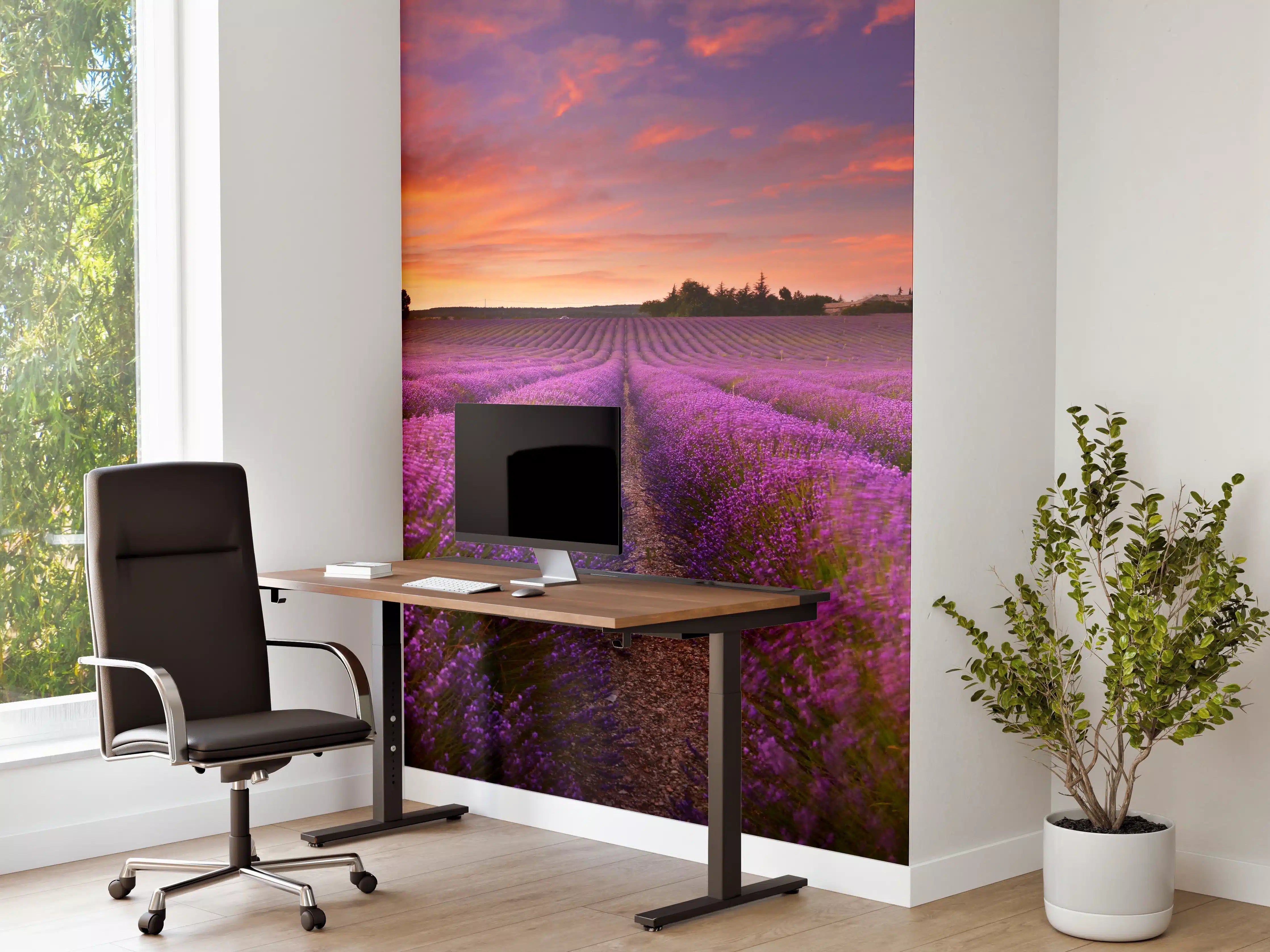 Büro Wandgestaltung - Lavendelfeld in der Morgendämmerung