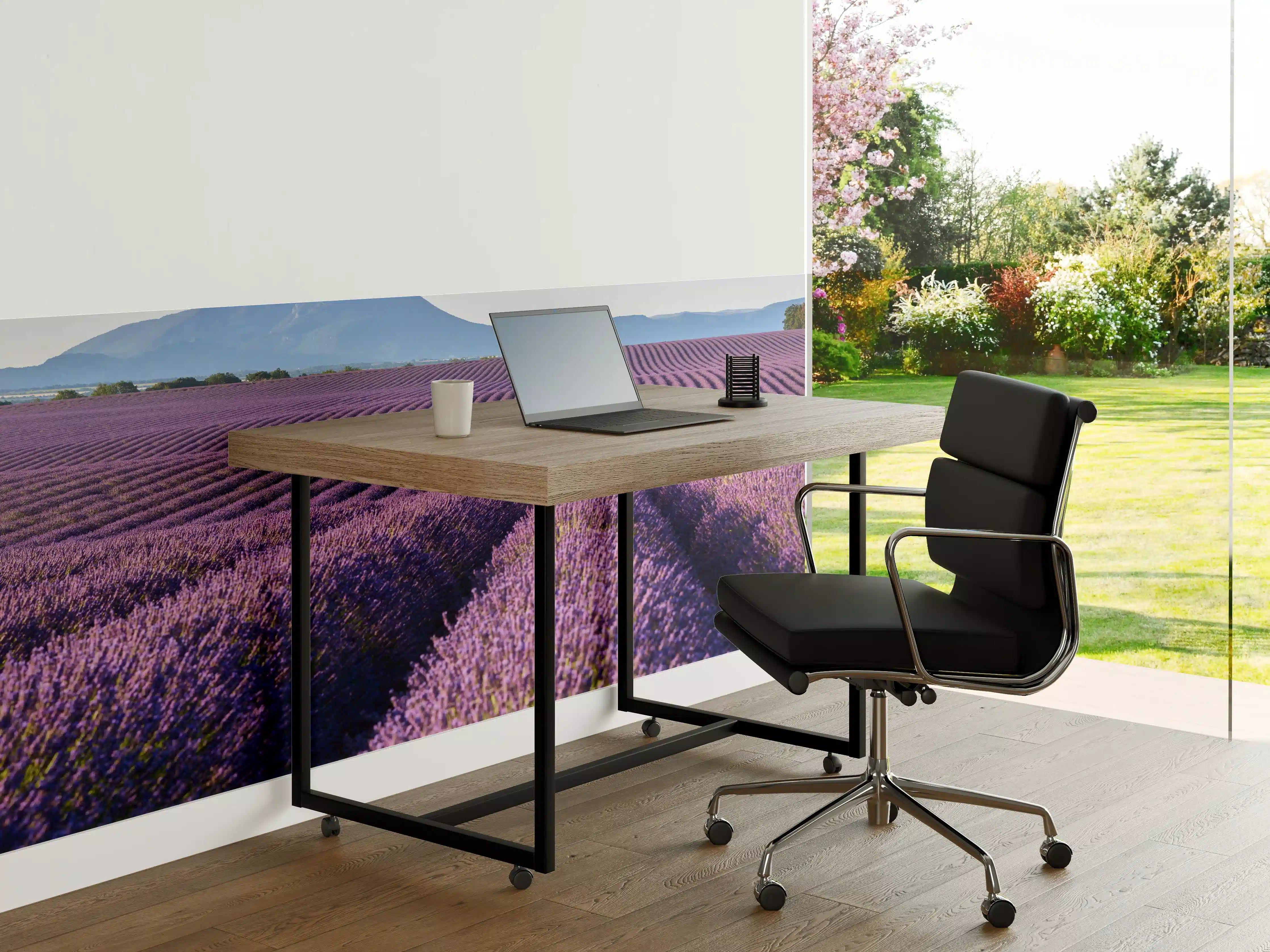 Büro Wandgestaltung - Lavendelfelder auf dem Plateau de Valensole 