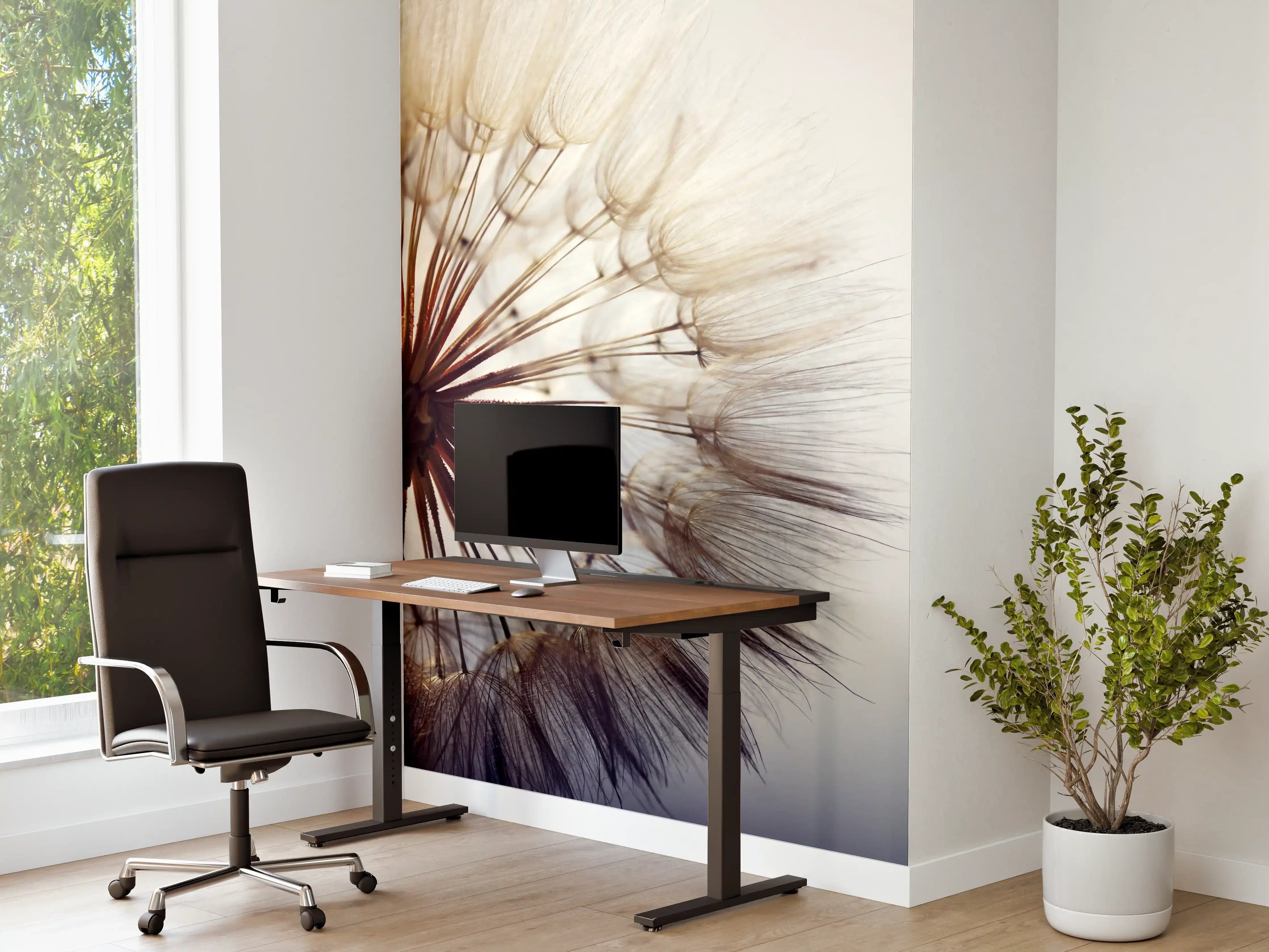 Büro Wandgestaltung - Leiser Pusteblumen-Halm mit zarten Samen