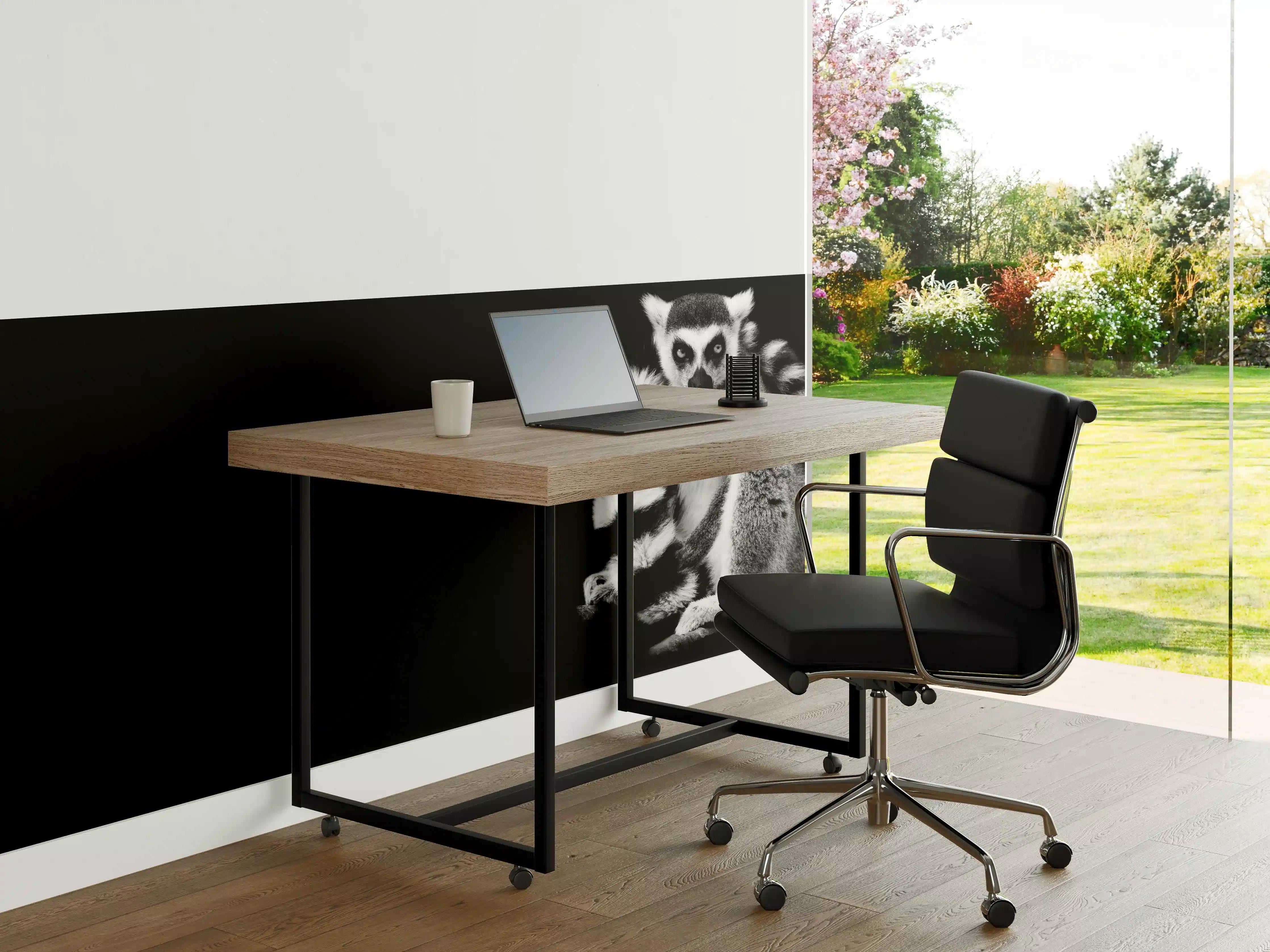 Büro Wandgestaltung - Lemur auf schwarzem Hintergrund