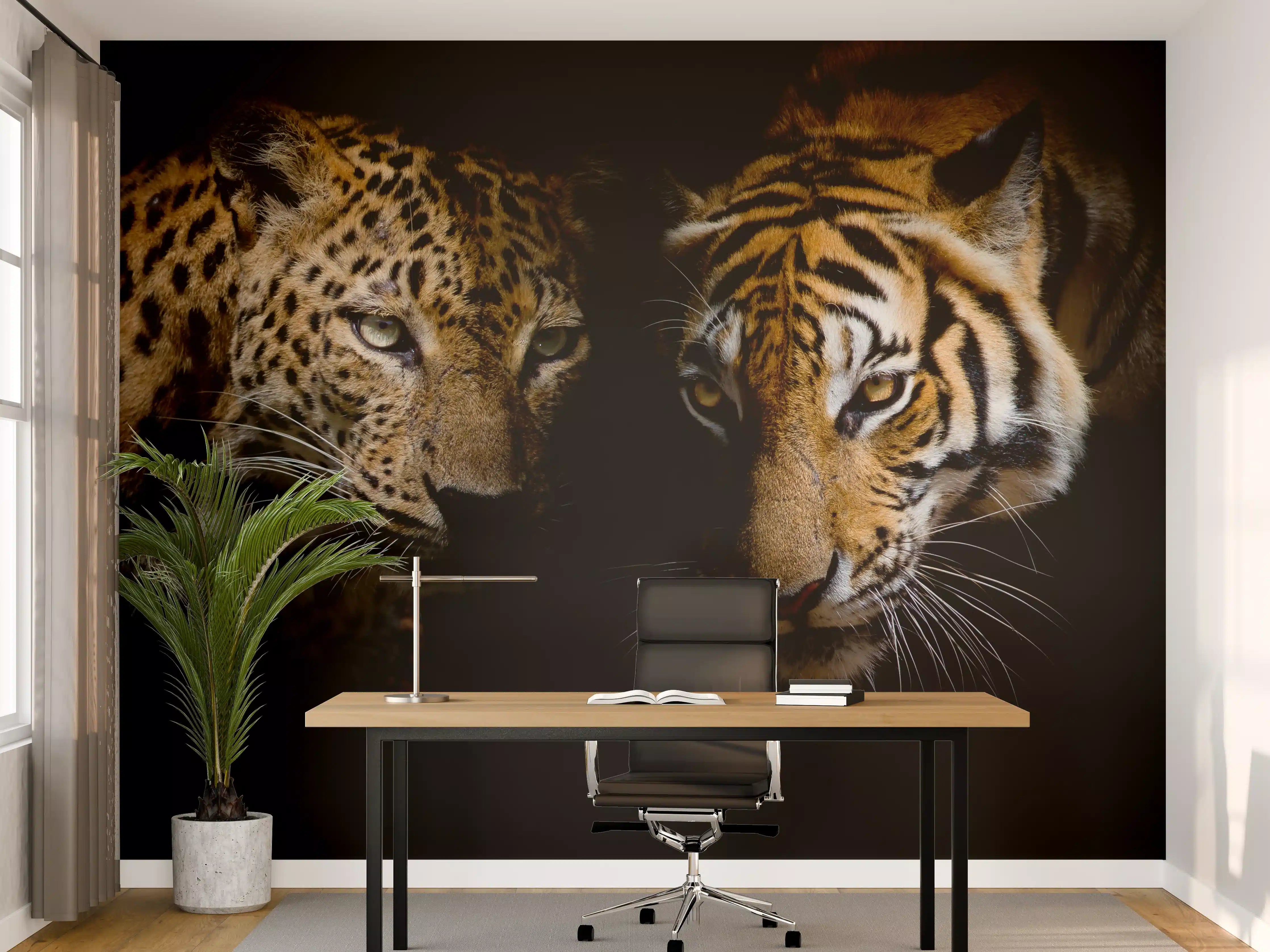 Büro Wandgestaltung - Leopard und Tiger isoliert auf schwarzen Hintergrund