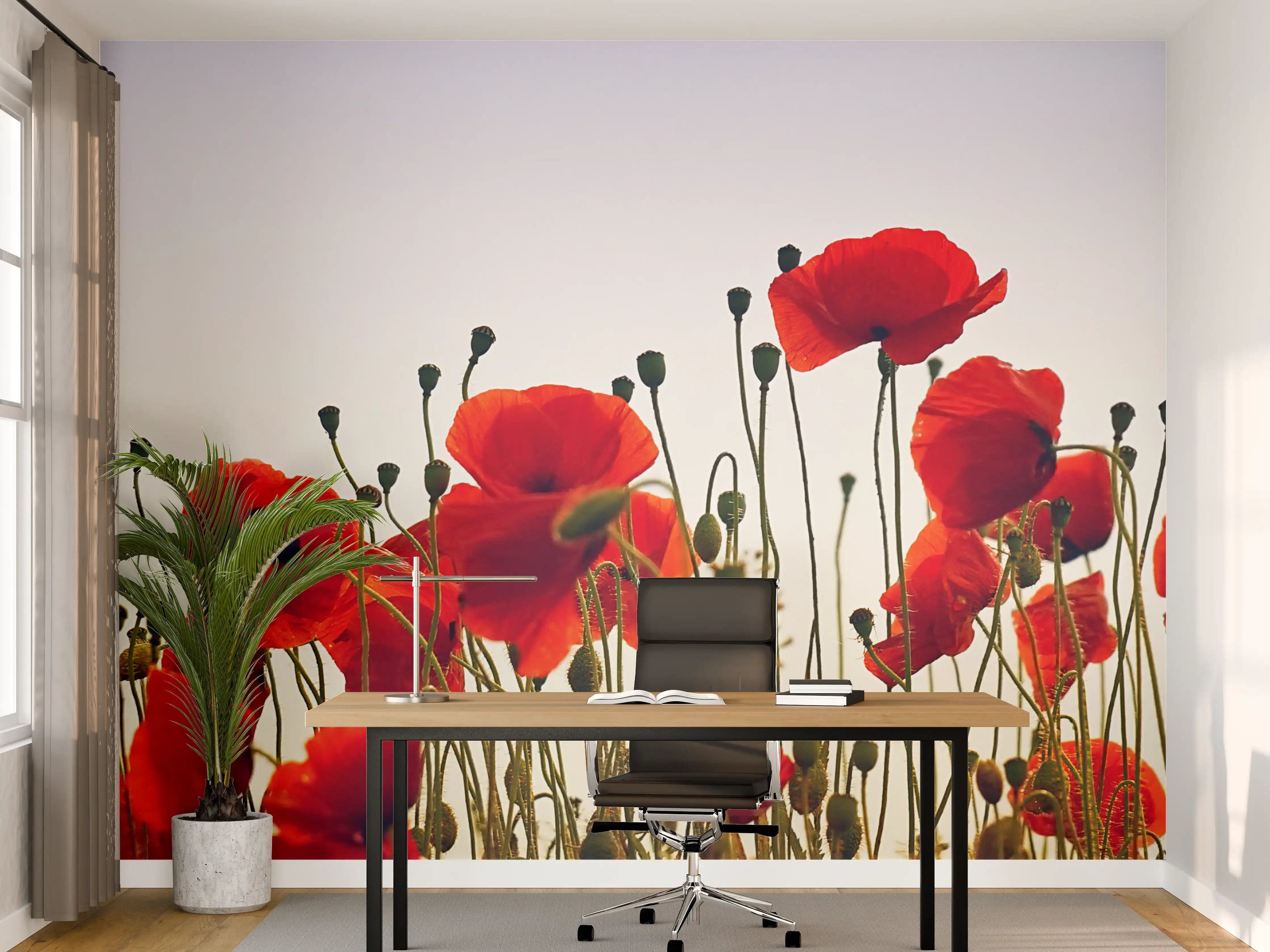 Büro Wandgestaltung - Leuchtend rote Mohnblumen im Gegenlicht