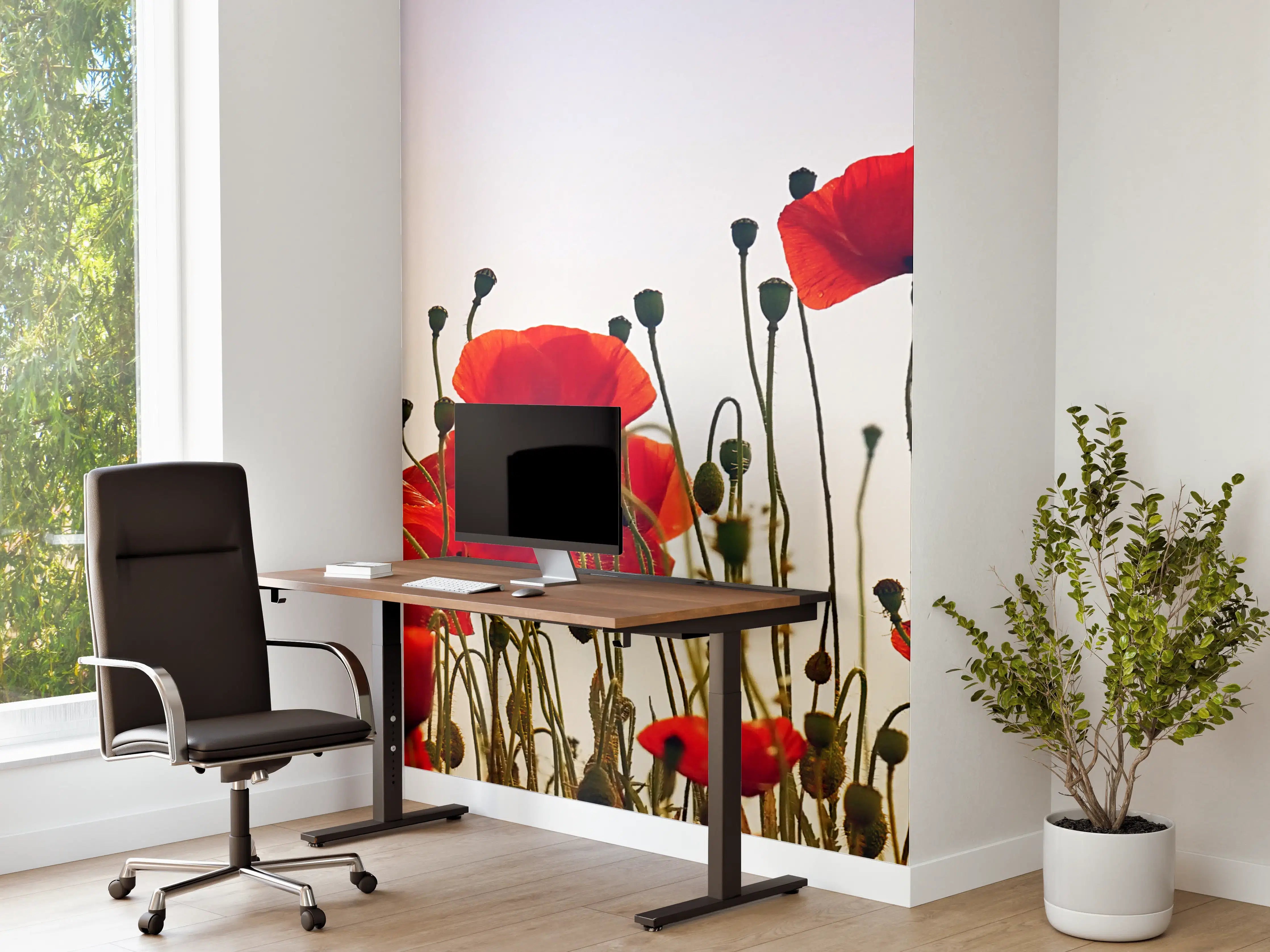 Büro Wandgestaltung - Leuchtend rote Mohnblumen im Gegenlicht