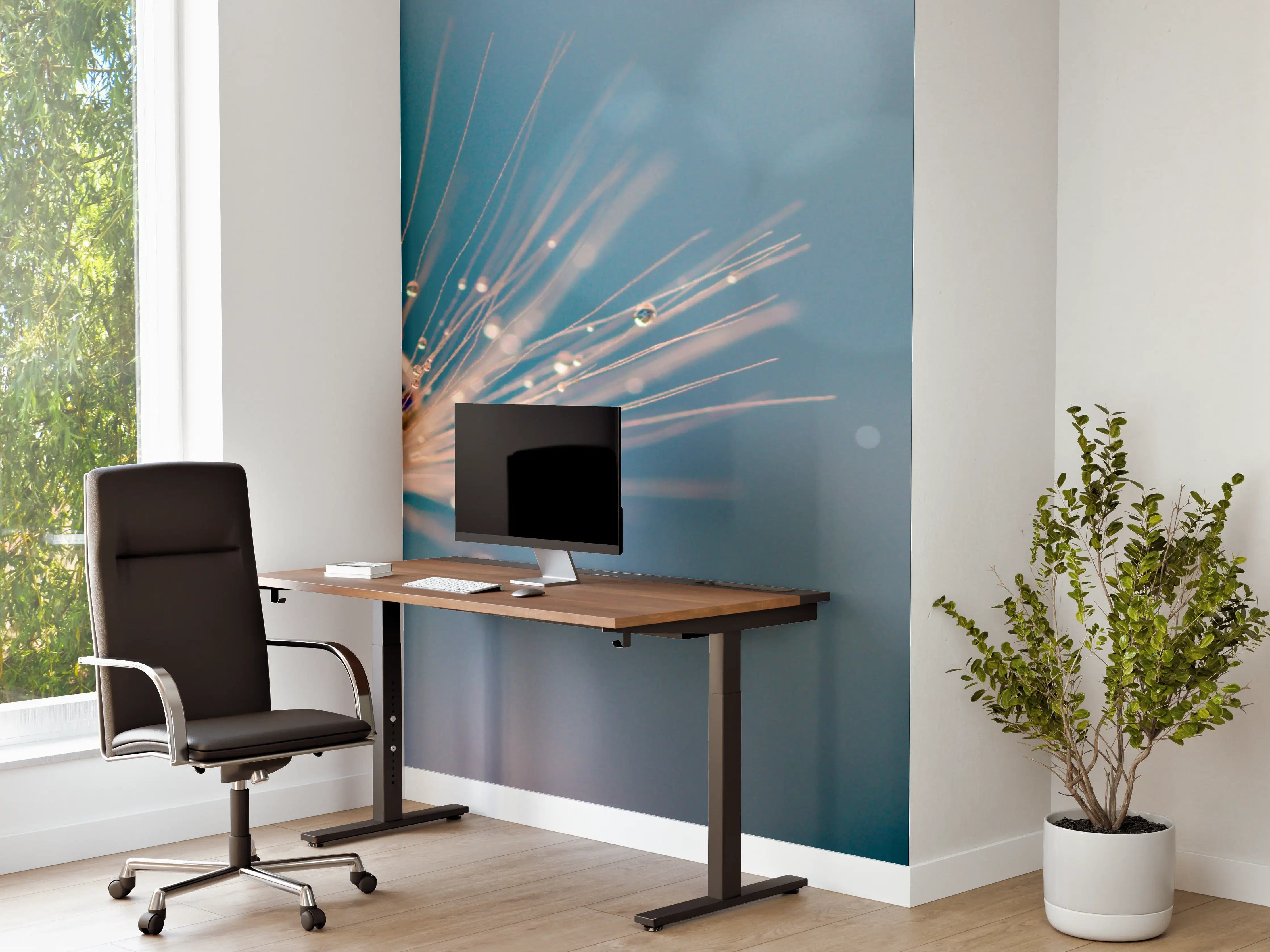 Büro Wandgestaltung - Leuchtende Pusteblume vor unscharfem Hintergrund