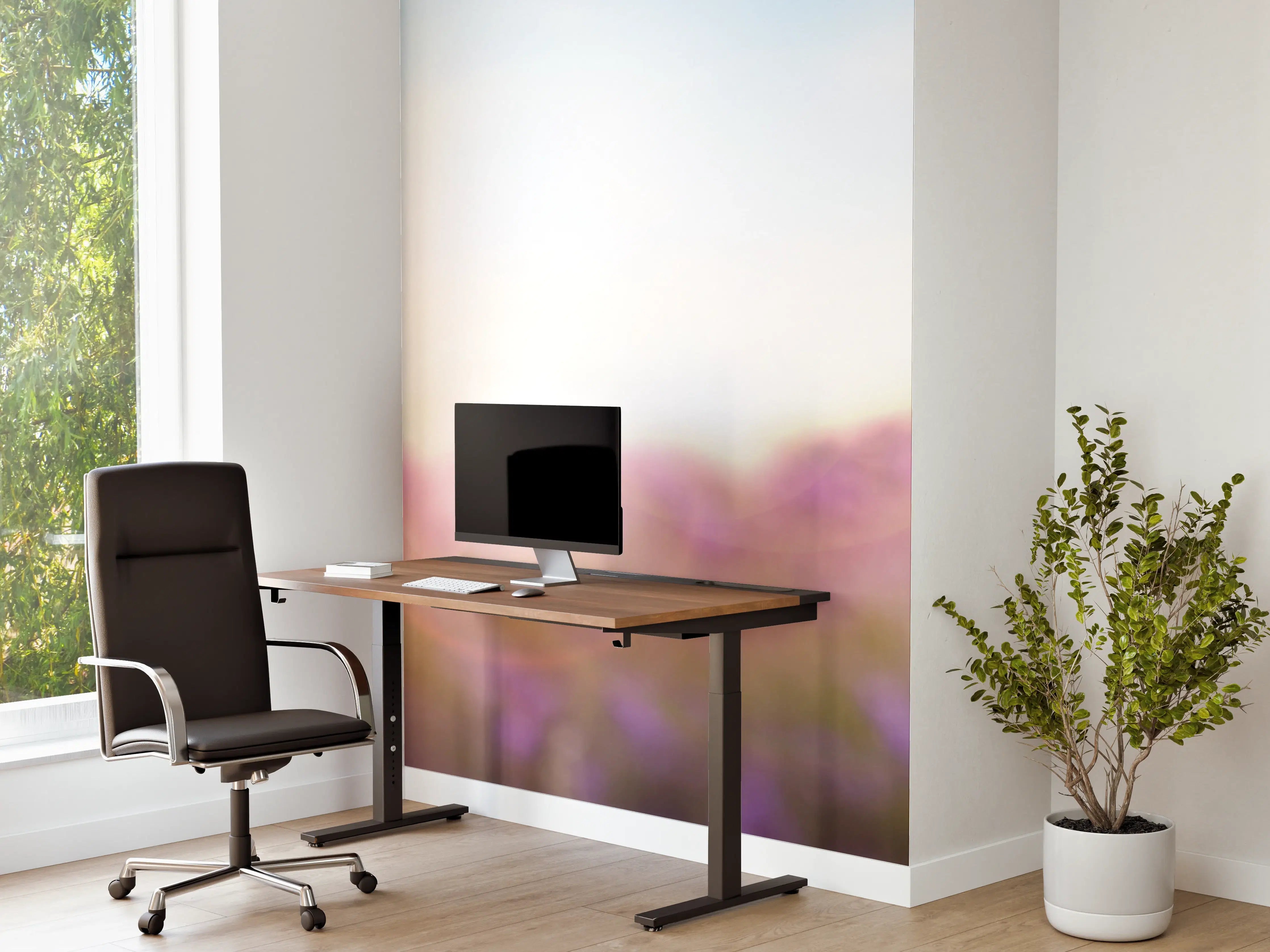 Büro Wandgestaltung - Lila Lavendelfeld im Morgenlicht