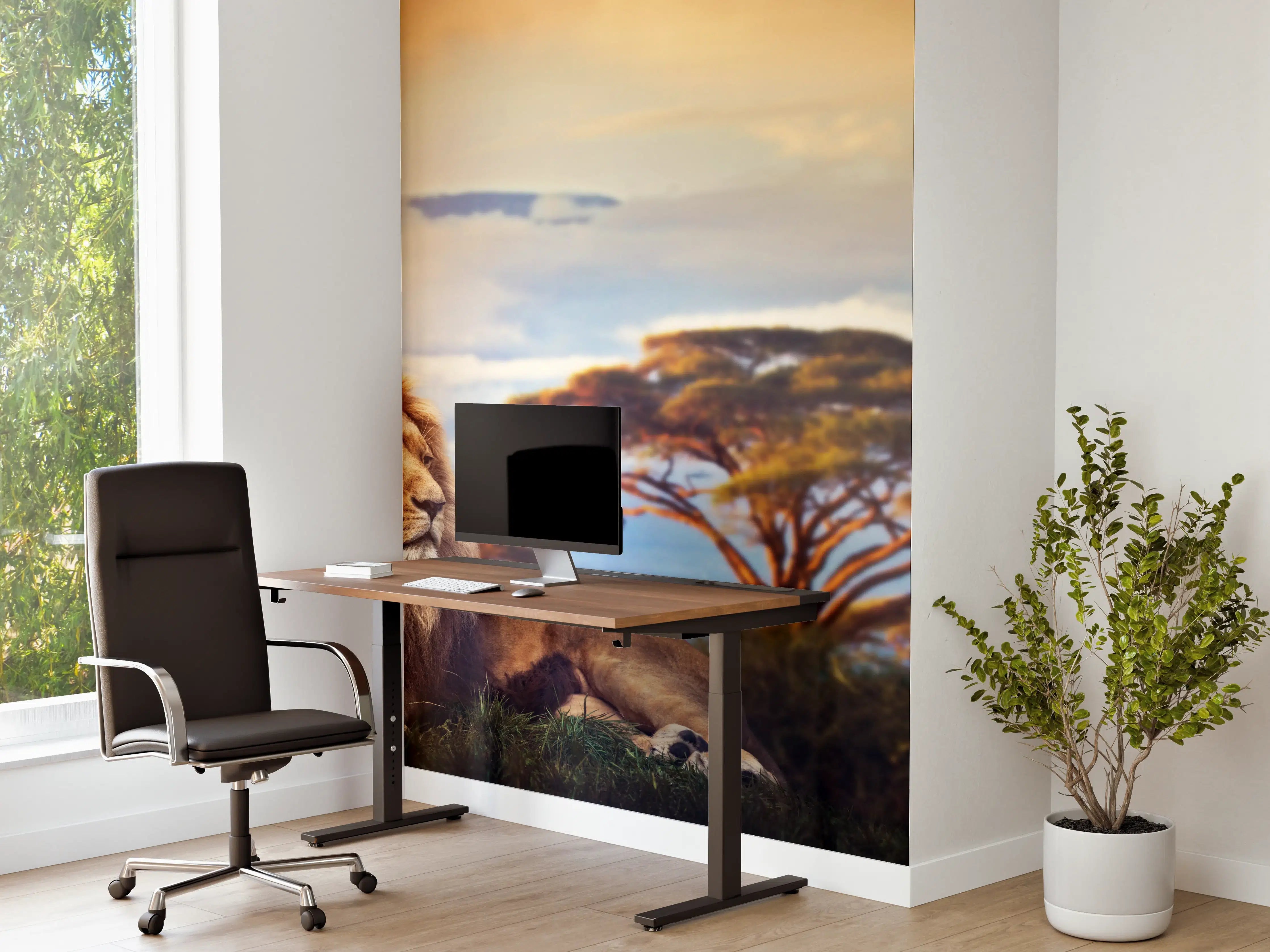 Büro Wandgestaltung - Löwe bei Sonnenuntergang