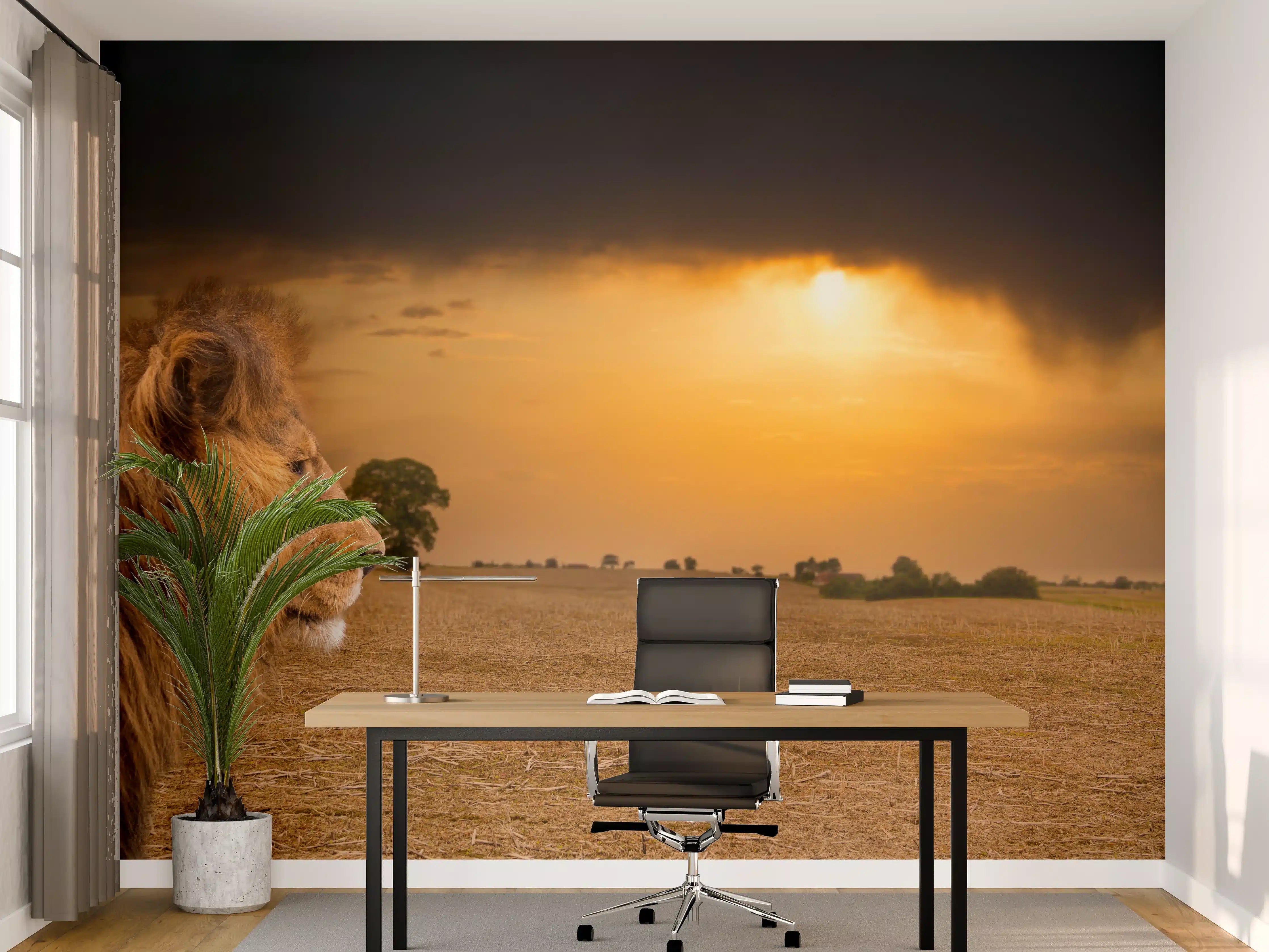 Büro Wandgestaltung - Löwe in Steppe im Sonnenuntergang