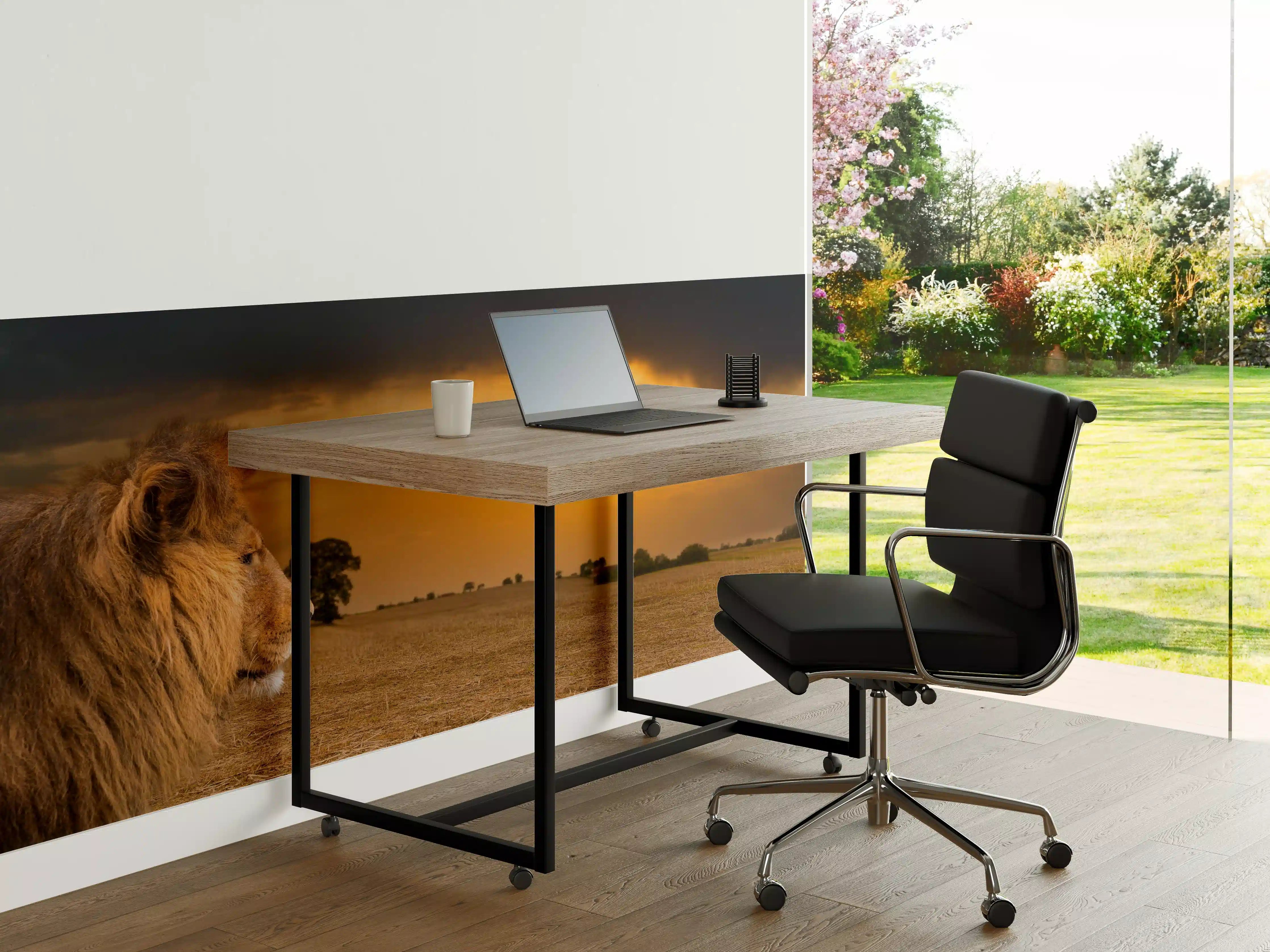 Büro Wandgestaltung - Löwe in Steppe im Sonnenuntergang