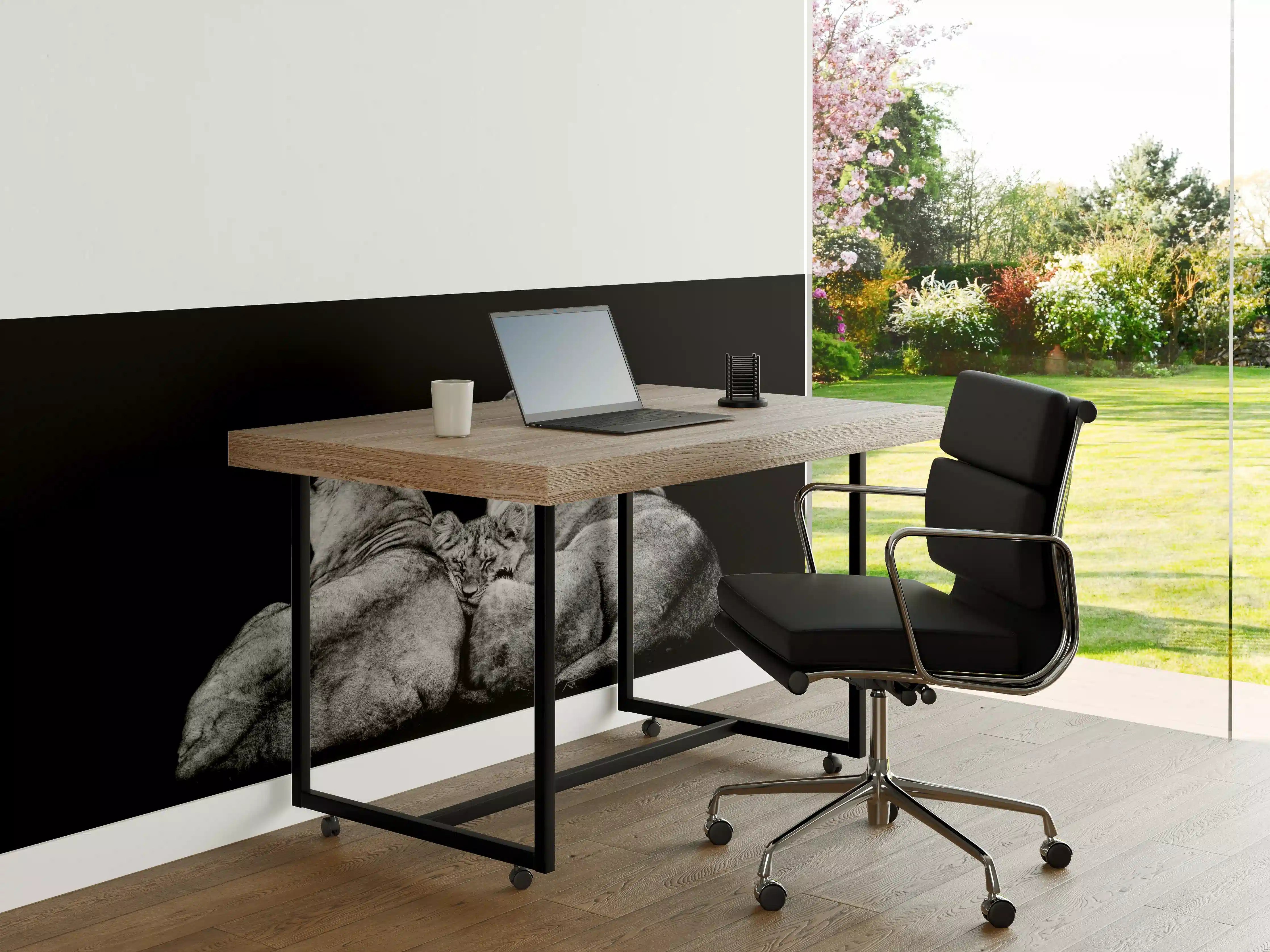 Büro Wandgestaltung - Löwenfamilie liegend mit schwarzem Hintergrund
