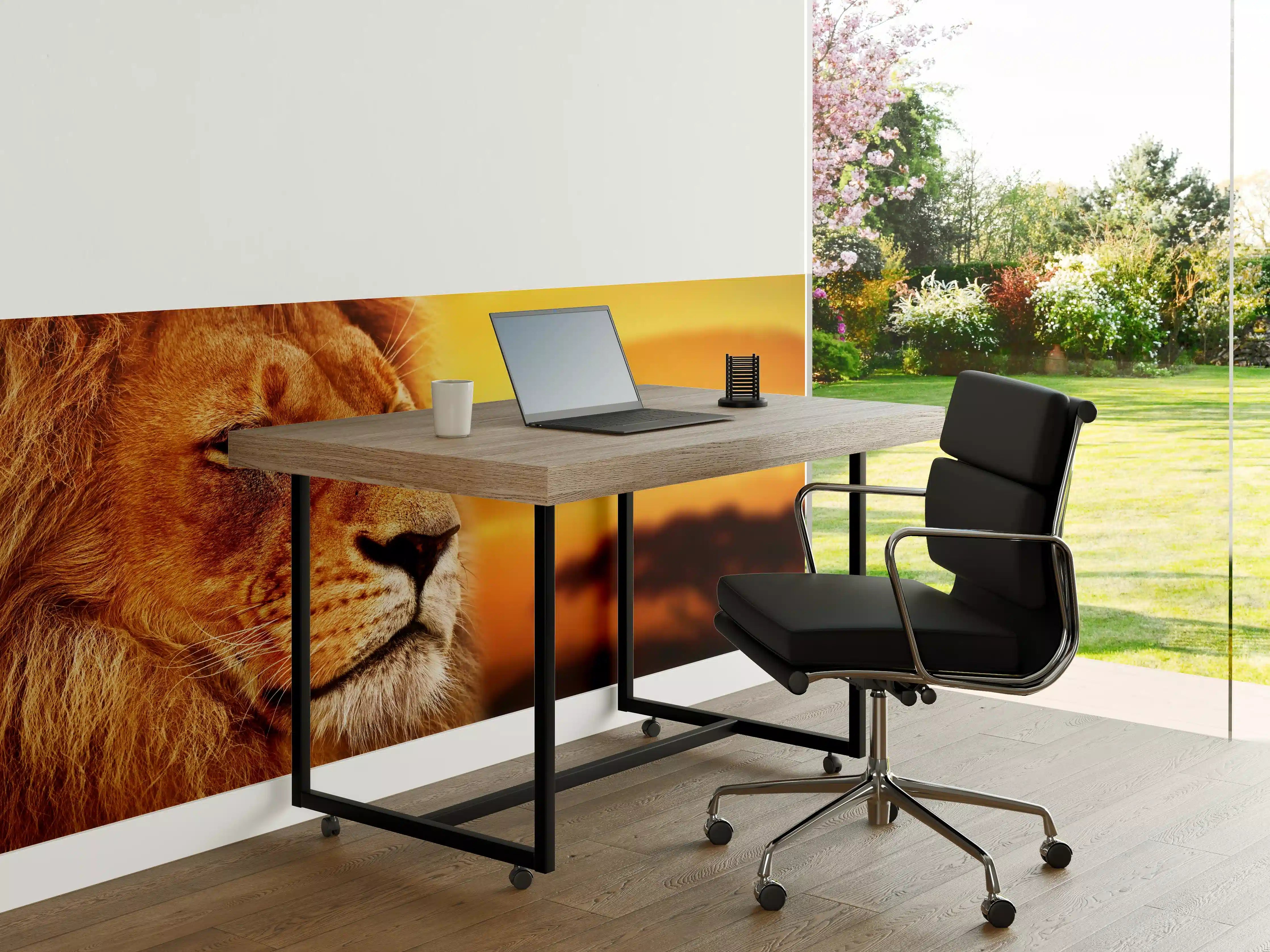 Büro Wandgestaltung - Löwenporträt in der Savanne