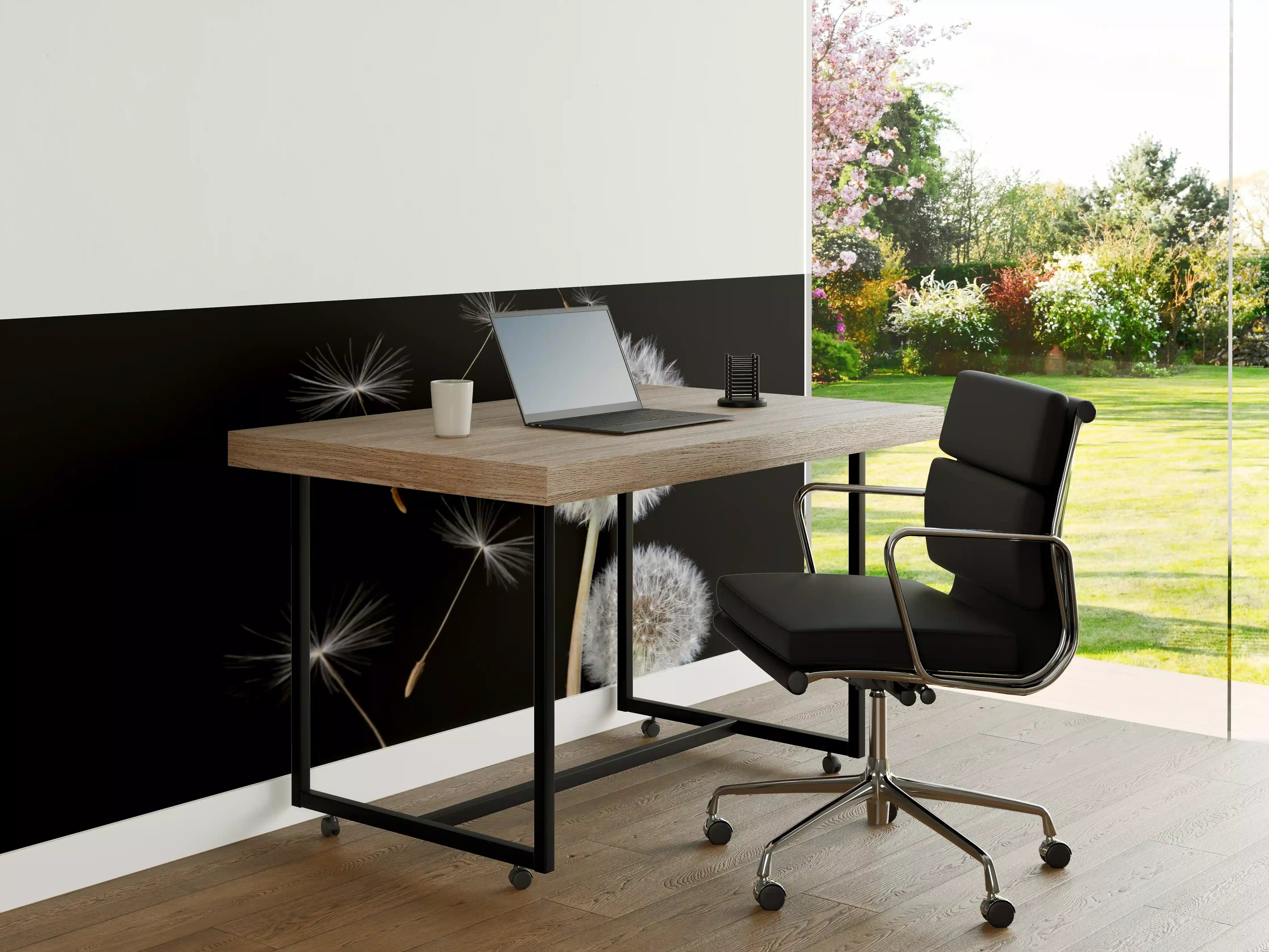Büro Wandgestaltung - Löwenzahn auf schwarzem Hintergrund