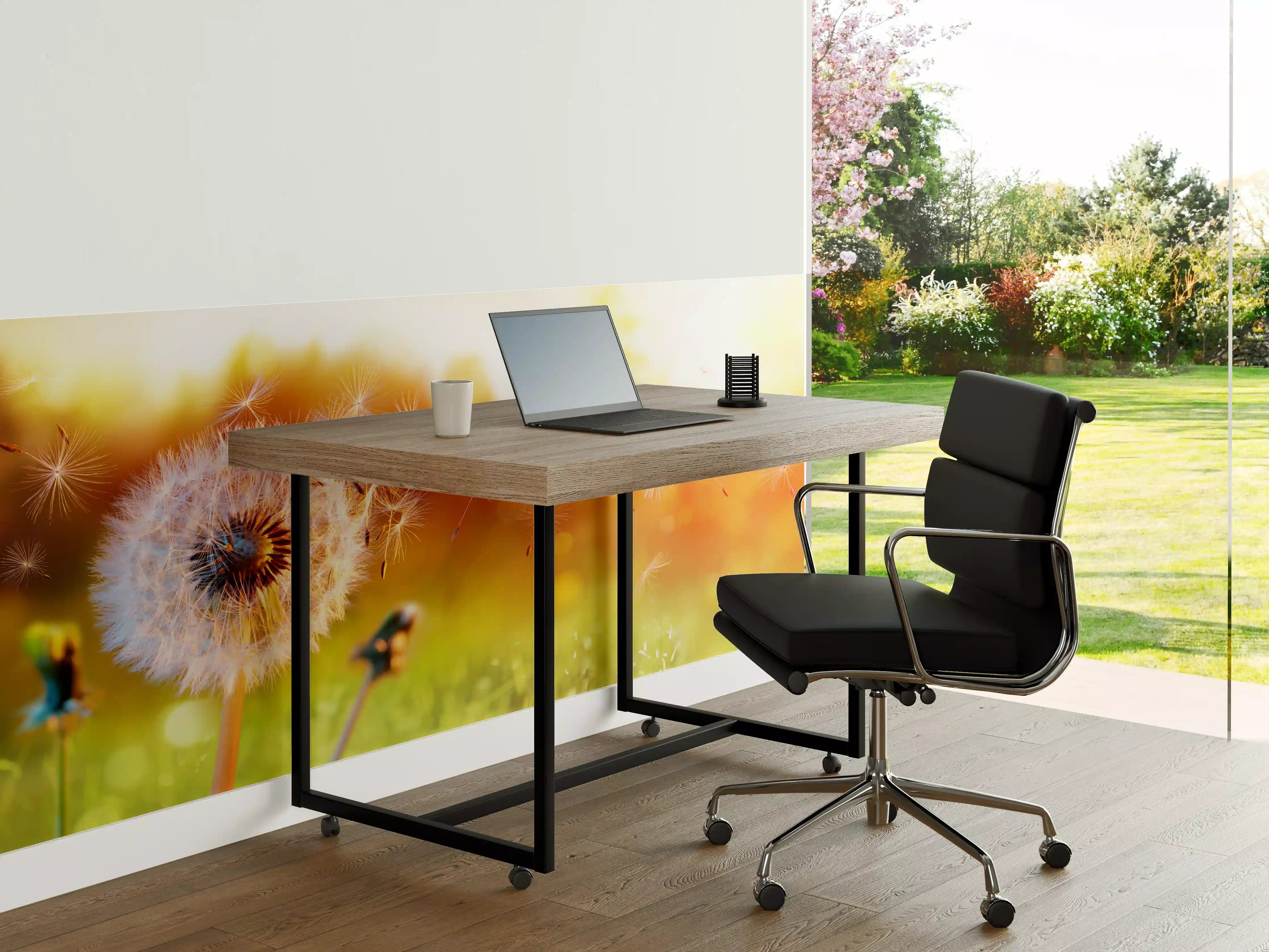 Büro Wandgestaltung - Löwenzahn im Feld bei Sonnenuntergang
