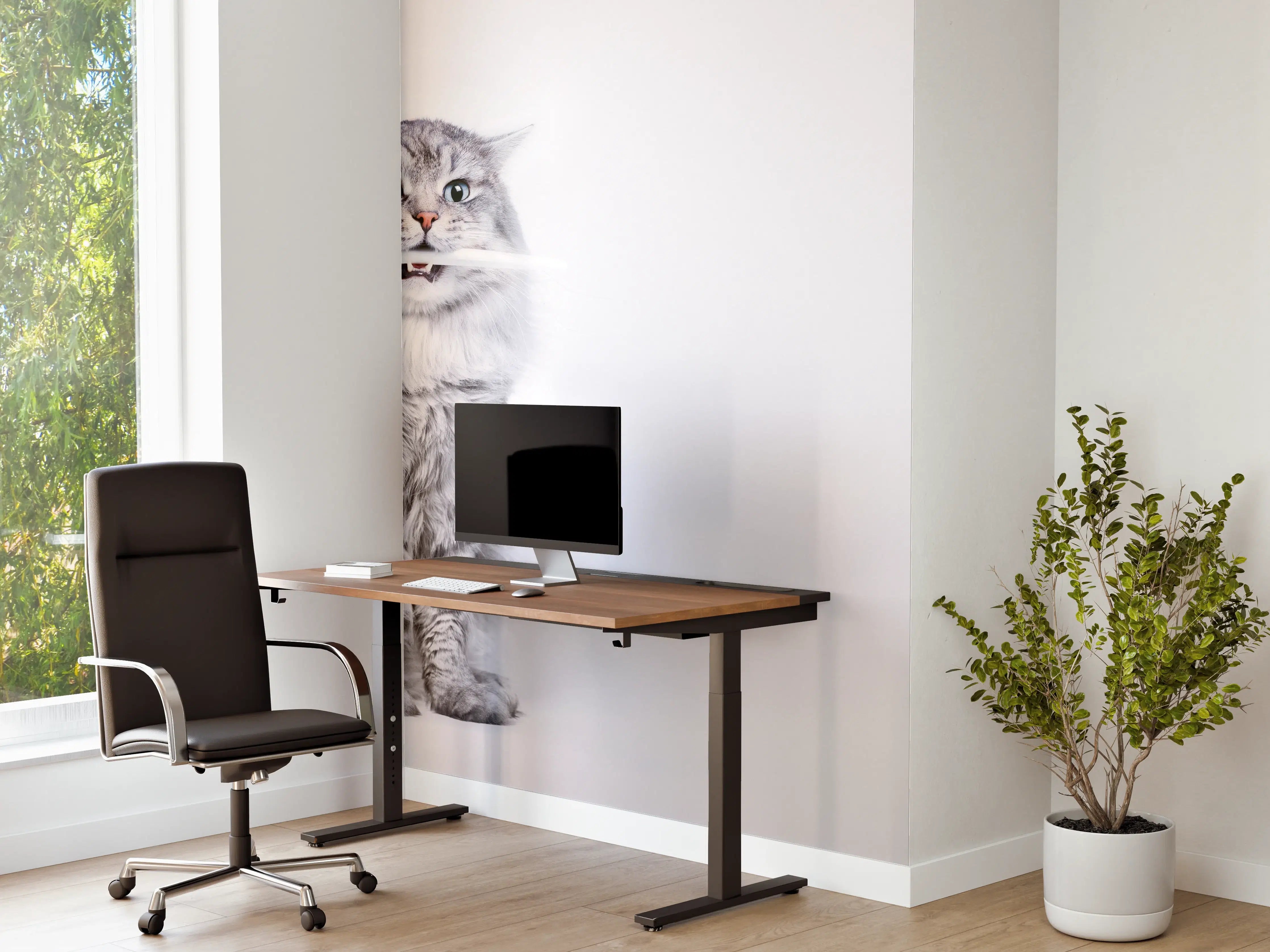 Büro Wandgestaltung - Lustige Katze mit Zahnbürste