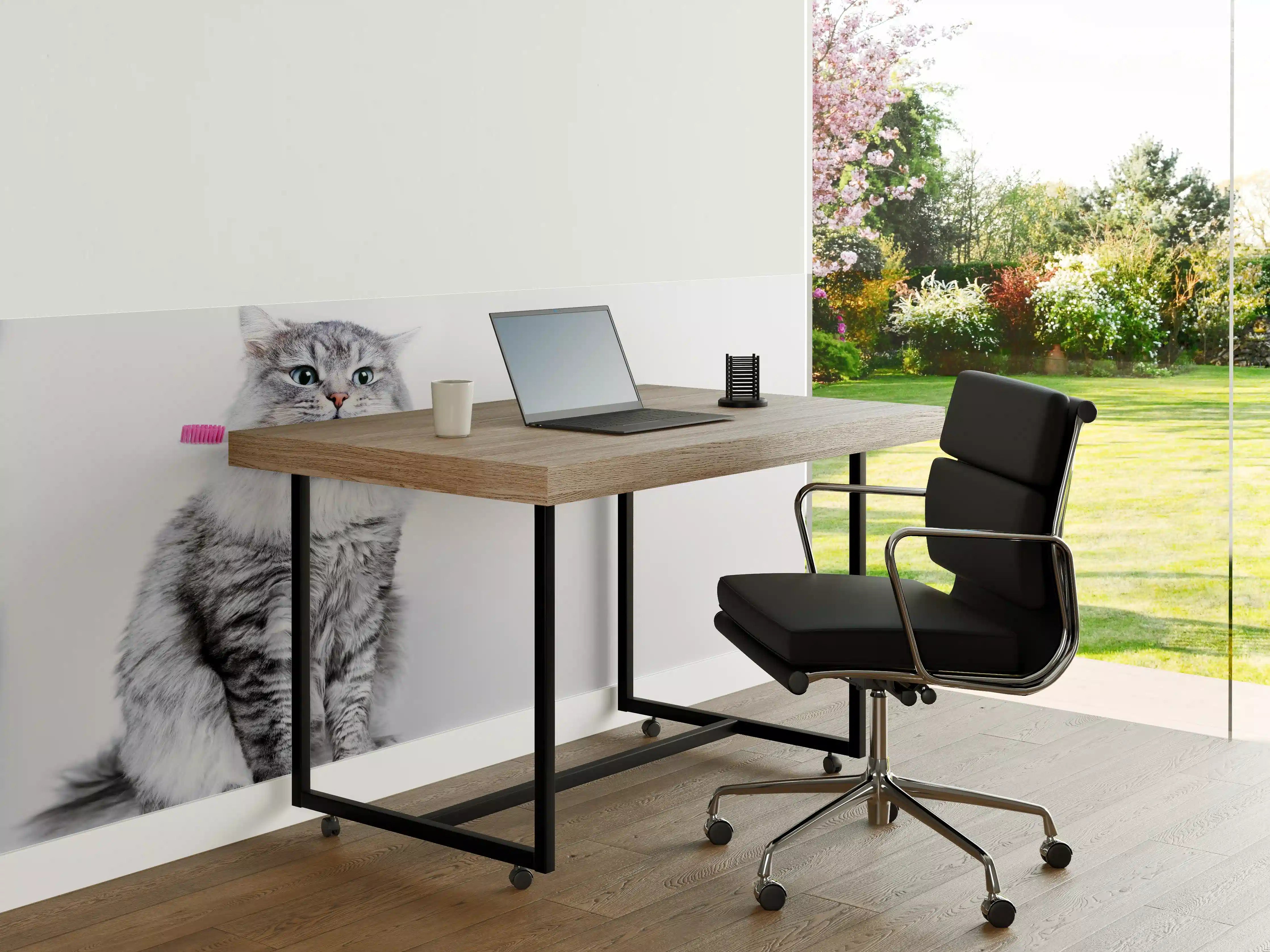 Büro Wandgestaltung - Lustige Katze mit Zahnbürste