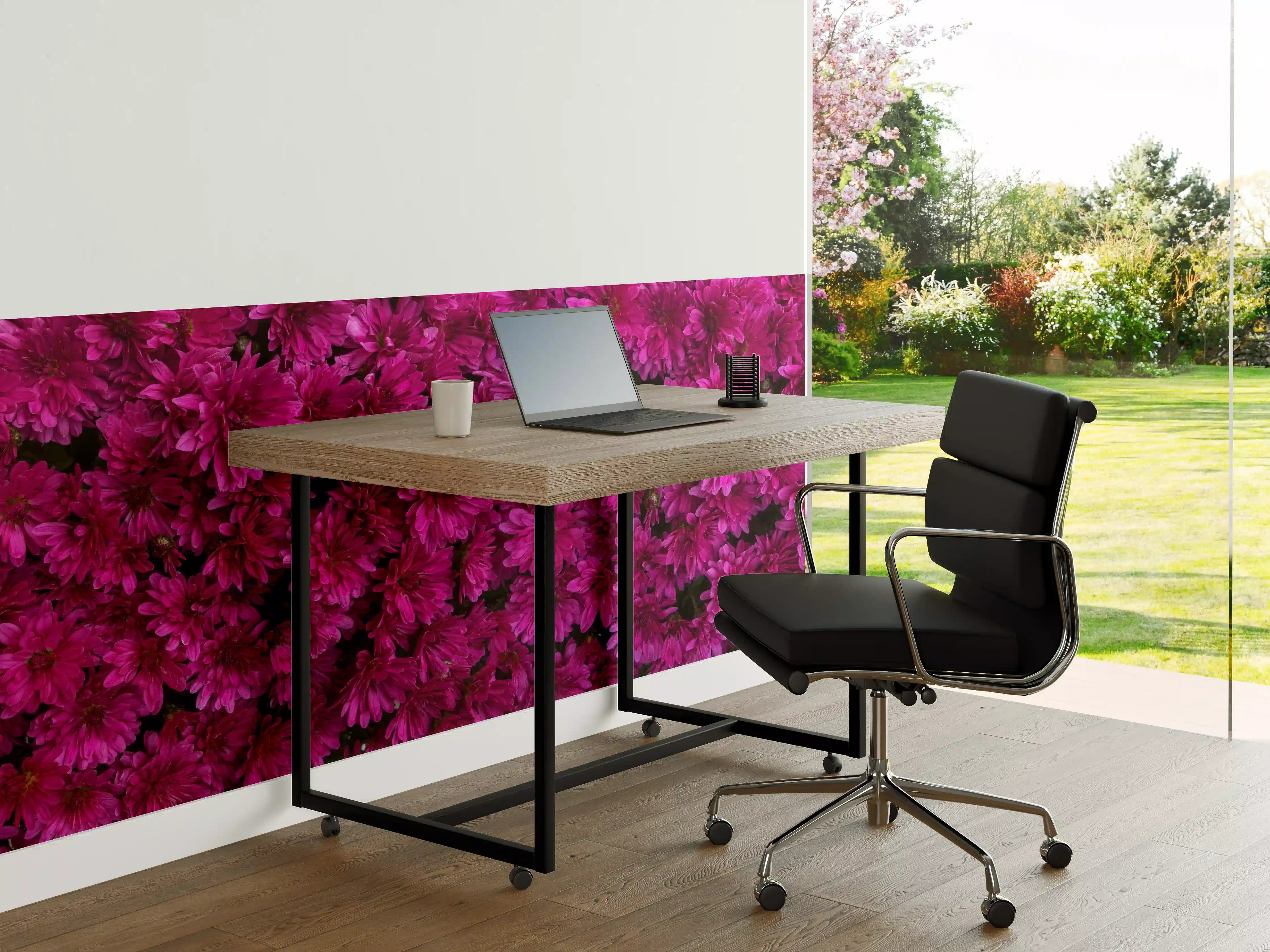 Büro Wandgestaltung - Magenta Blüten von Chrysanthemen