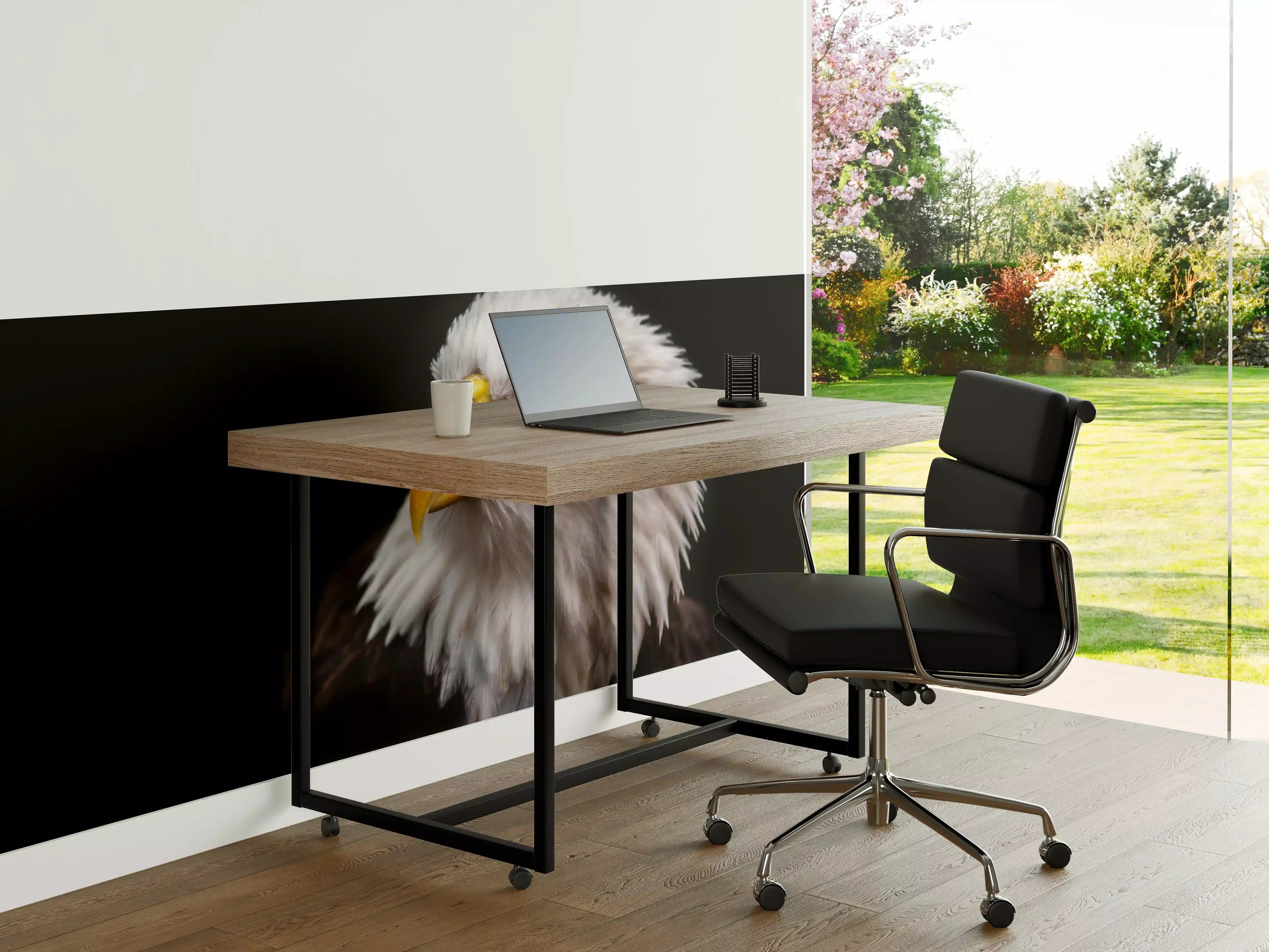 Büro Wandgestaltung - Majestätischer Adler