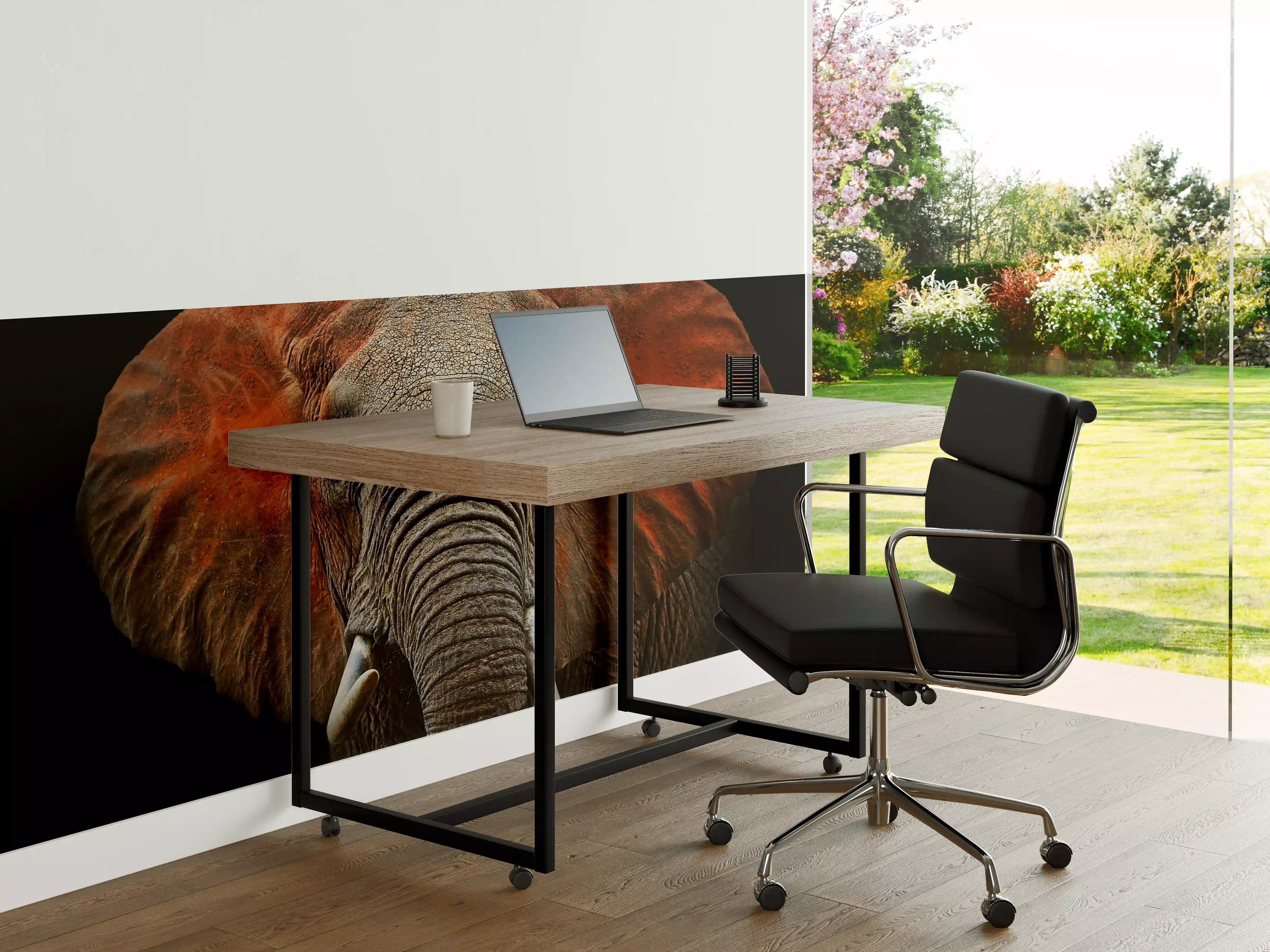 Büro Wandgestaltung - Majestätischer Elefant mit roten Ohren