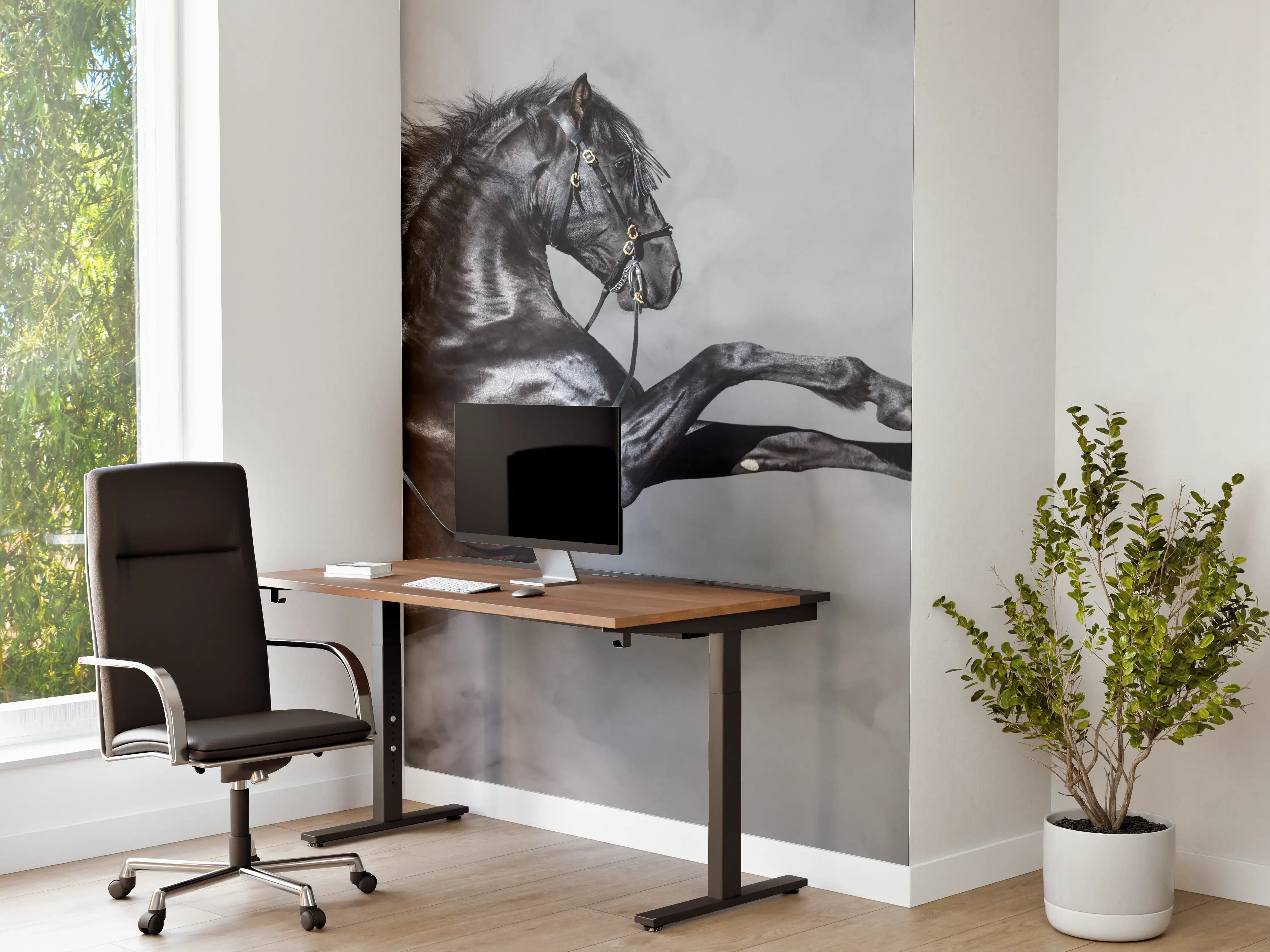 Büro Wandgestaltung - Majestätisches Schwarzes Pferd