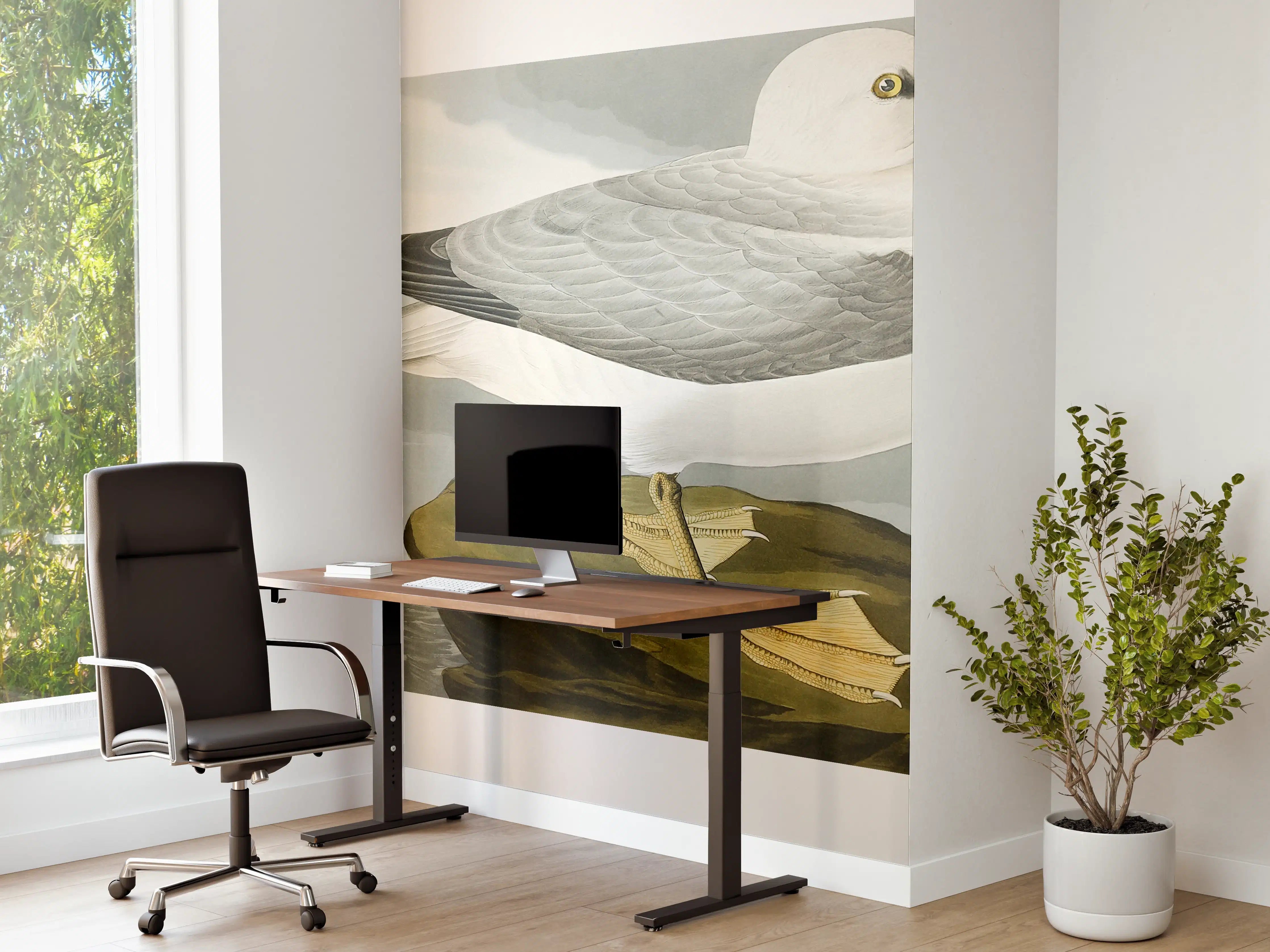 Büro Wandgestaltung - Möwe im Meer - Robert Havell 
