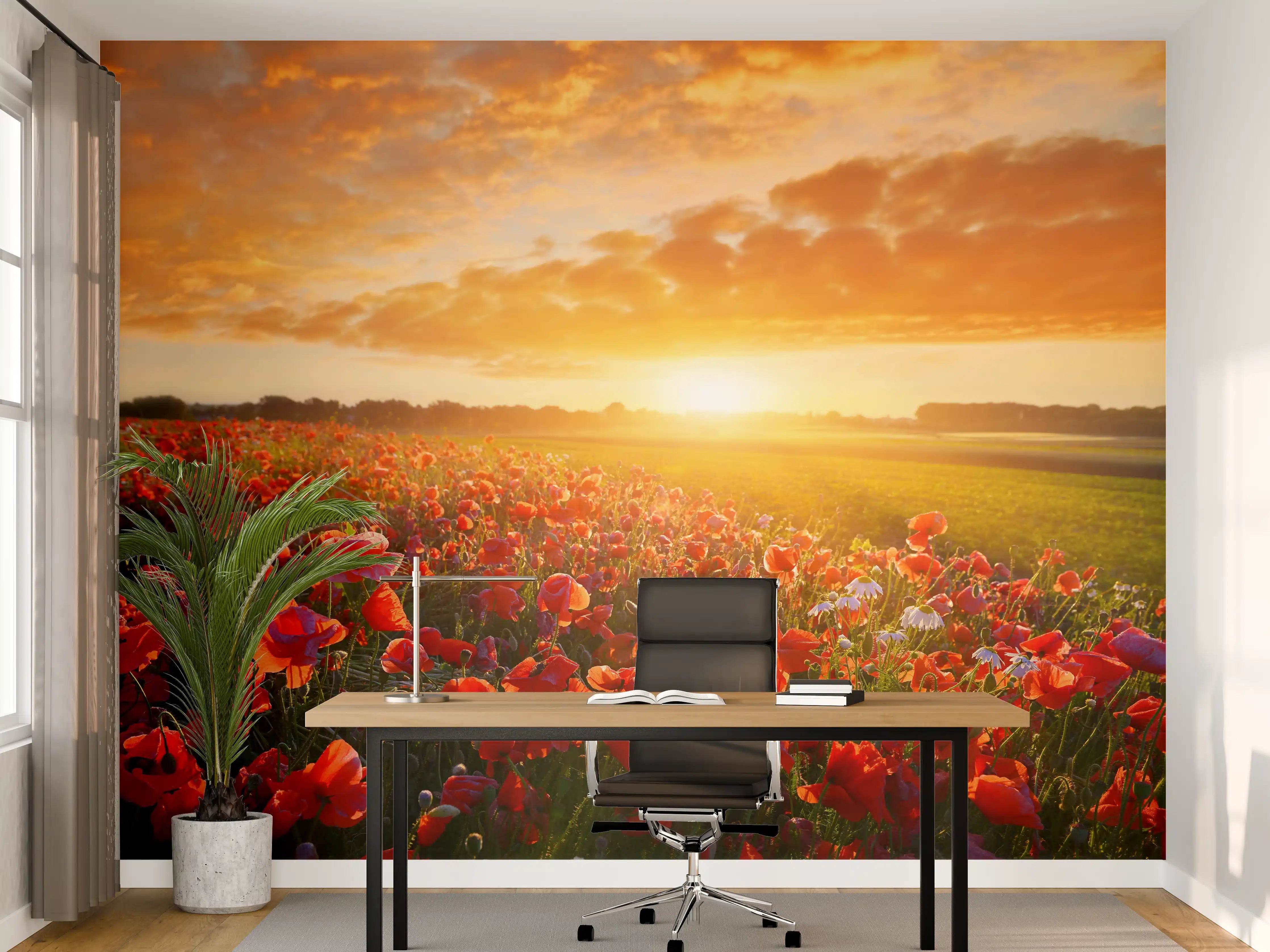 Büro Wandgestaltung - Mohnblüten bei Sonnenaufgang in Kassel