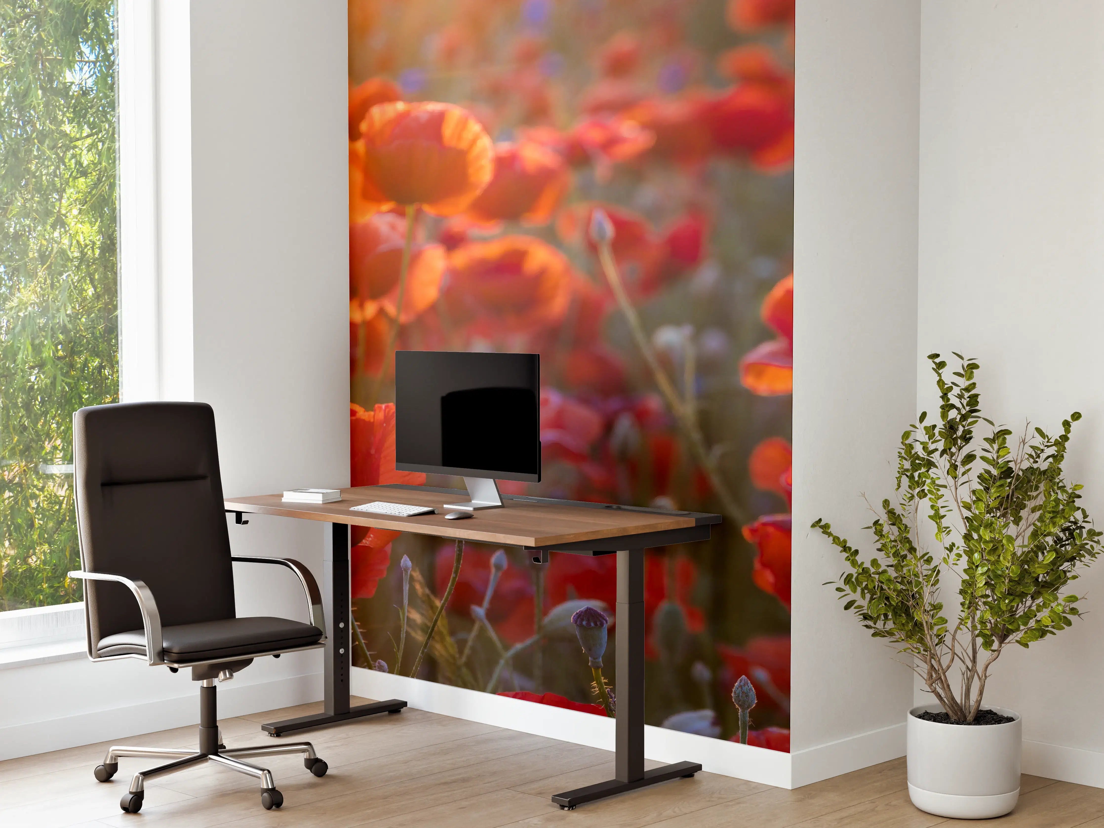 Büro Wandgestaltung - Mohnwiese im Licht der untergehenden Sonne
