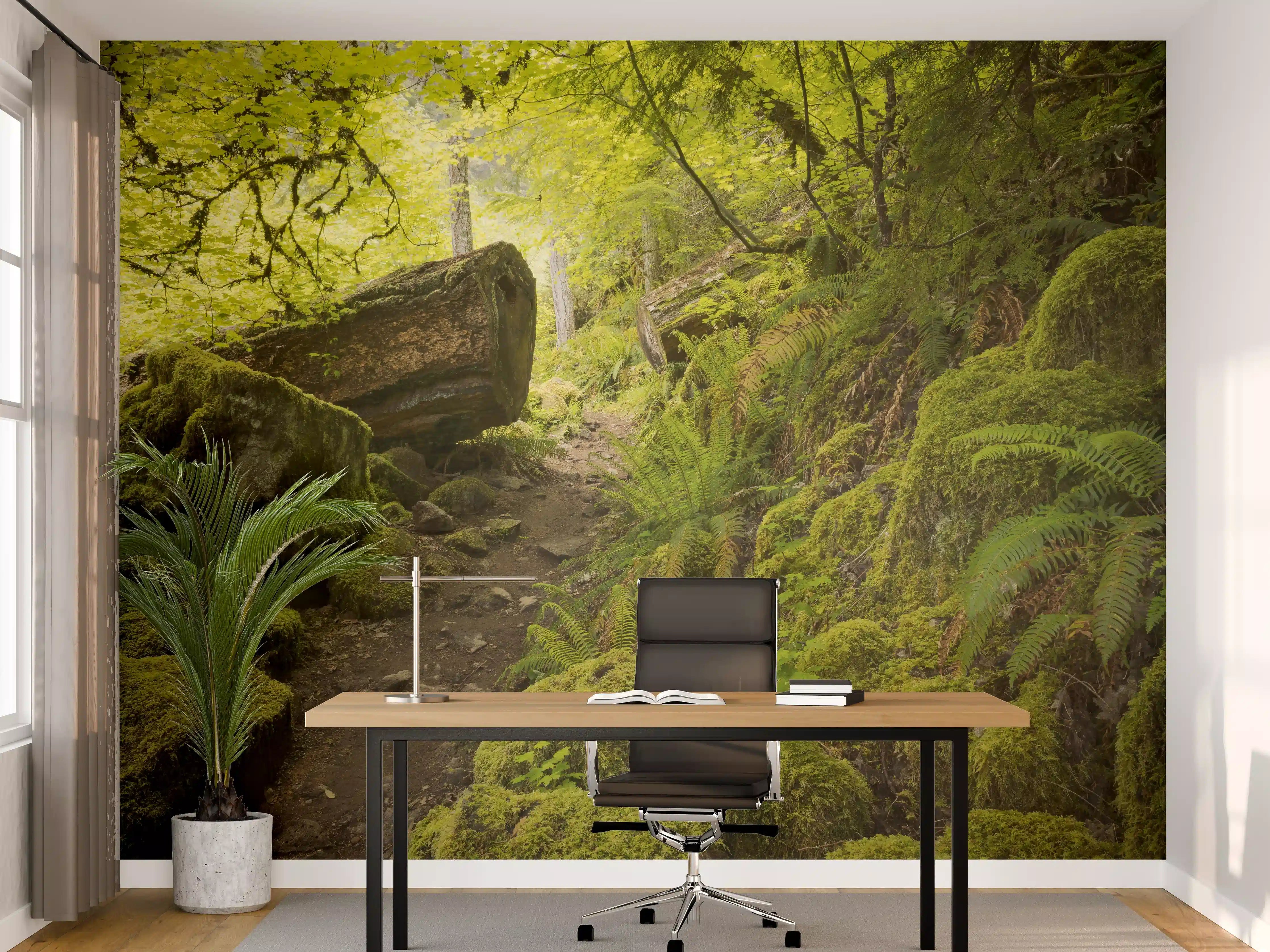 Büro Wandgestaltung - Moosiger Weg im Wald