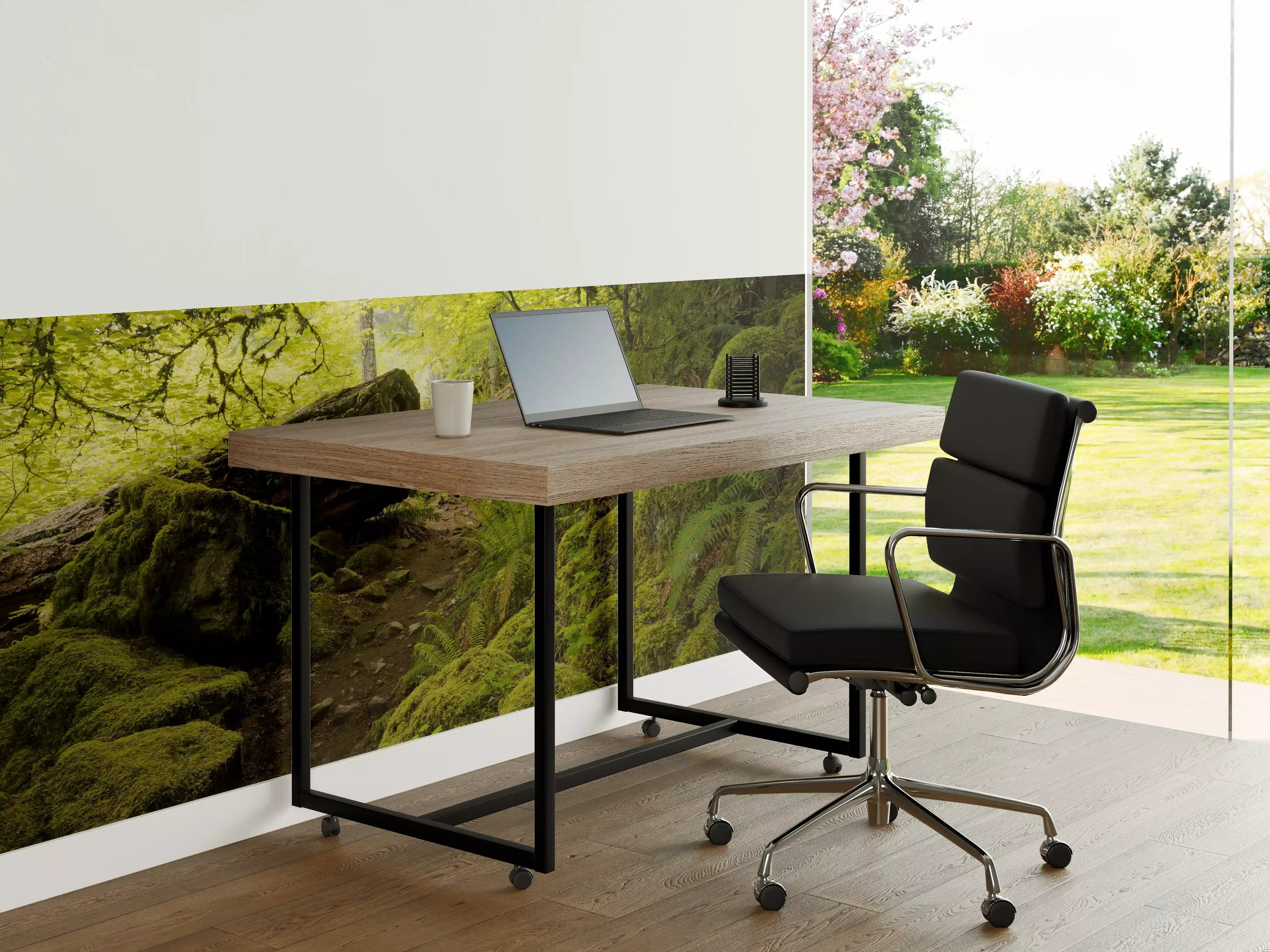 Büro Wandgestaltung - Moosiger Weg im Wald