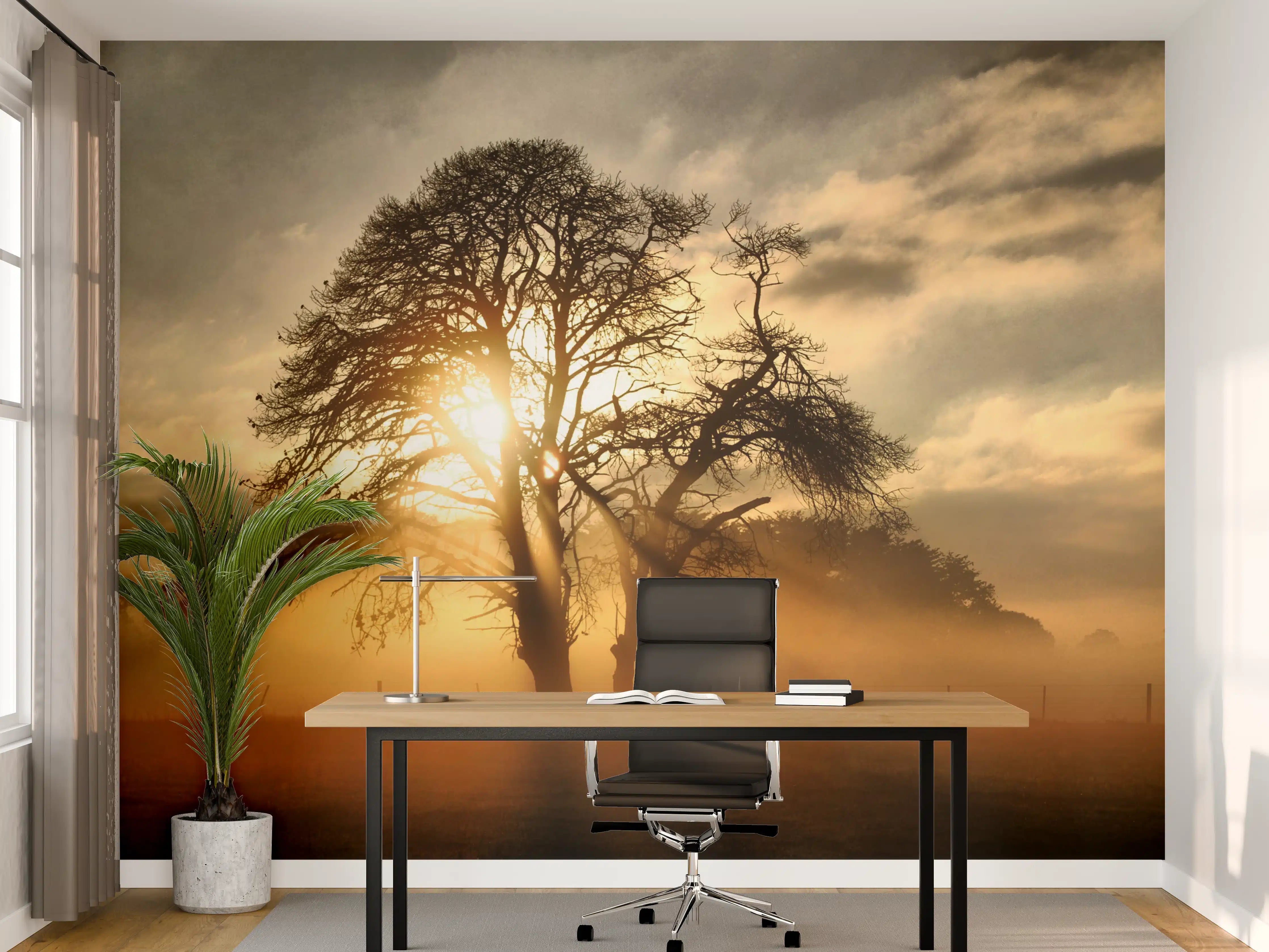 Büro Wandgestaltung - Morgenlicht durch graue Äste