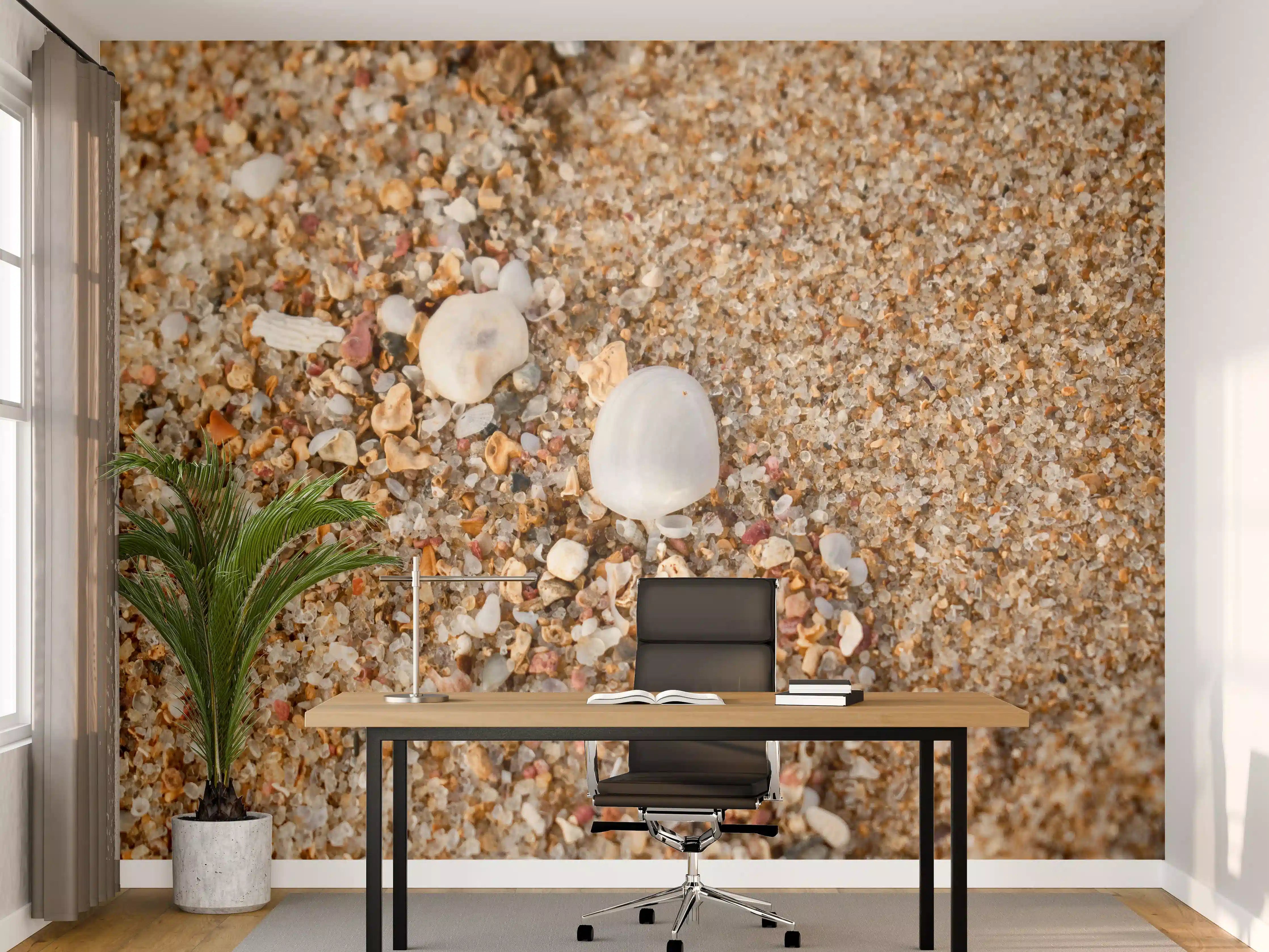 Büro Wandgestaltung - Muscheln im Strandsand. Shell