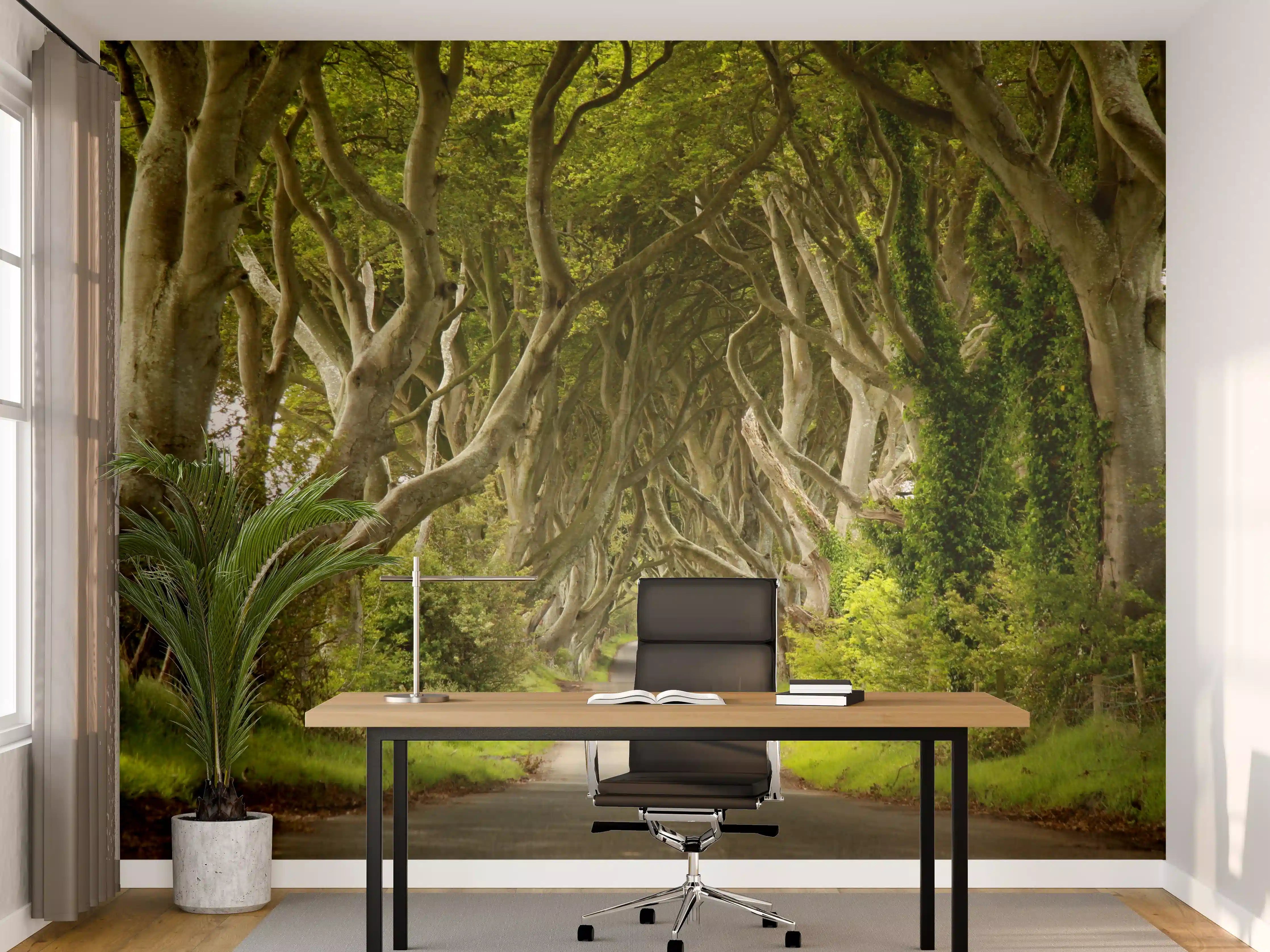 Büro Wandgestaltung - Mystischer Baumkorridor mit grünen Blättern