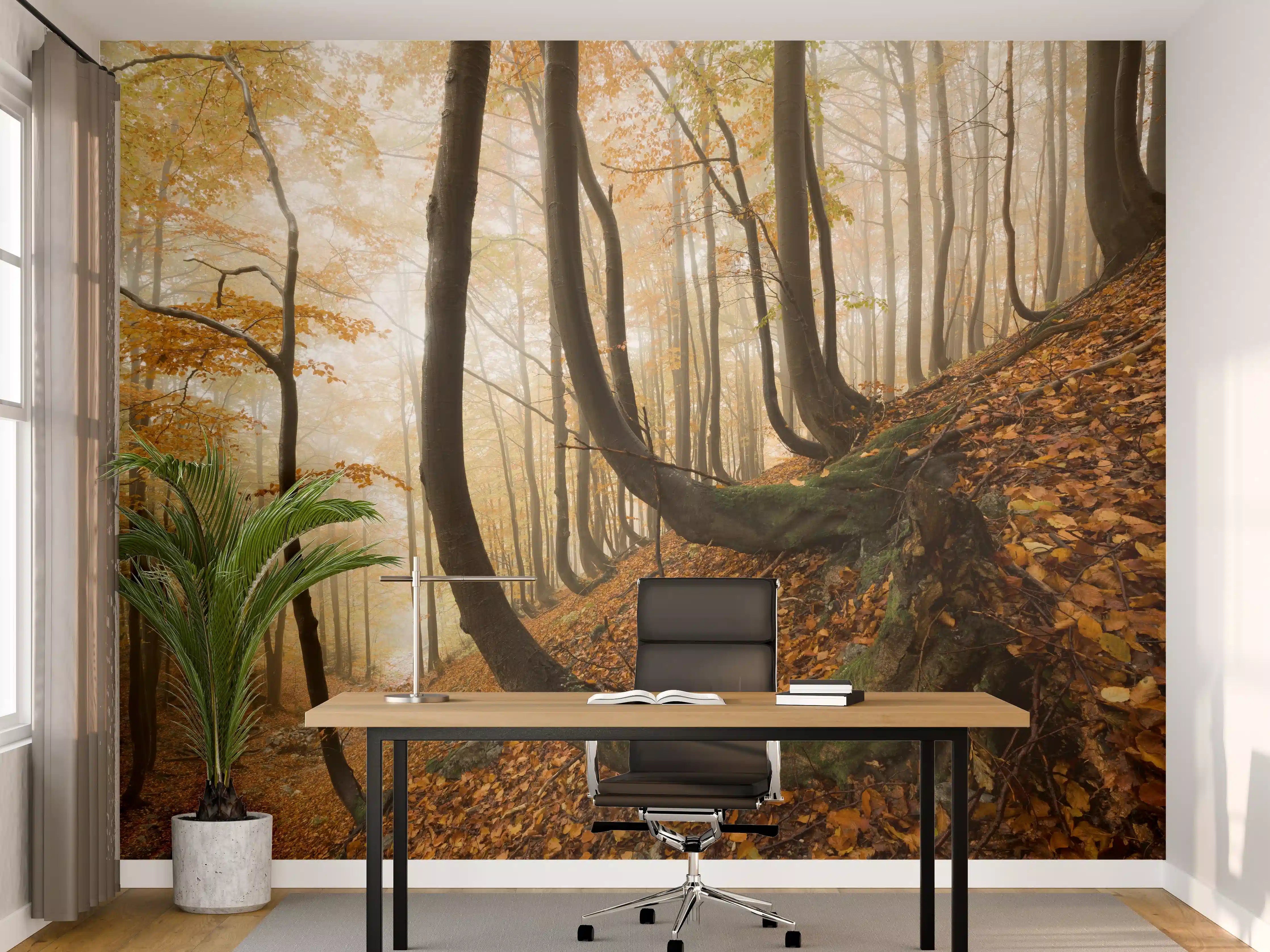 Büro Wandgestaltung - Mystischer Wald im Herbst