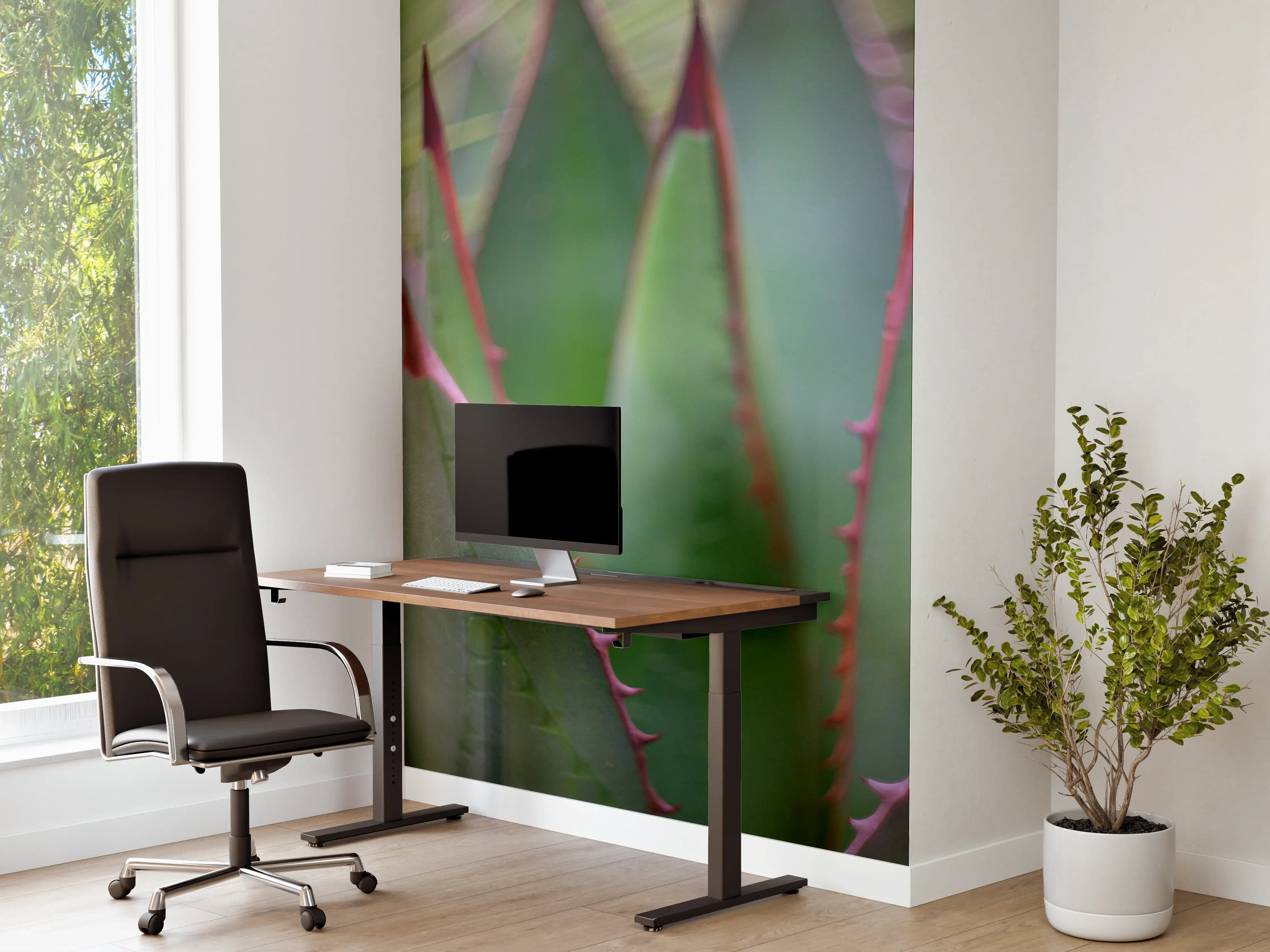 Büro Wandgestaltung - Nahaufnahme - Agave ghiesbreghti