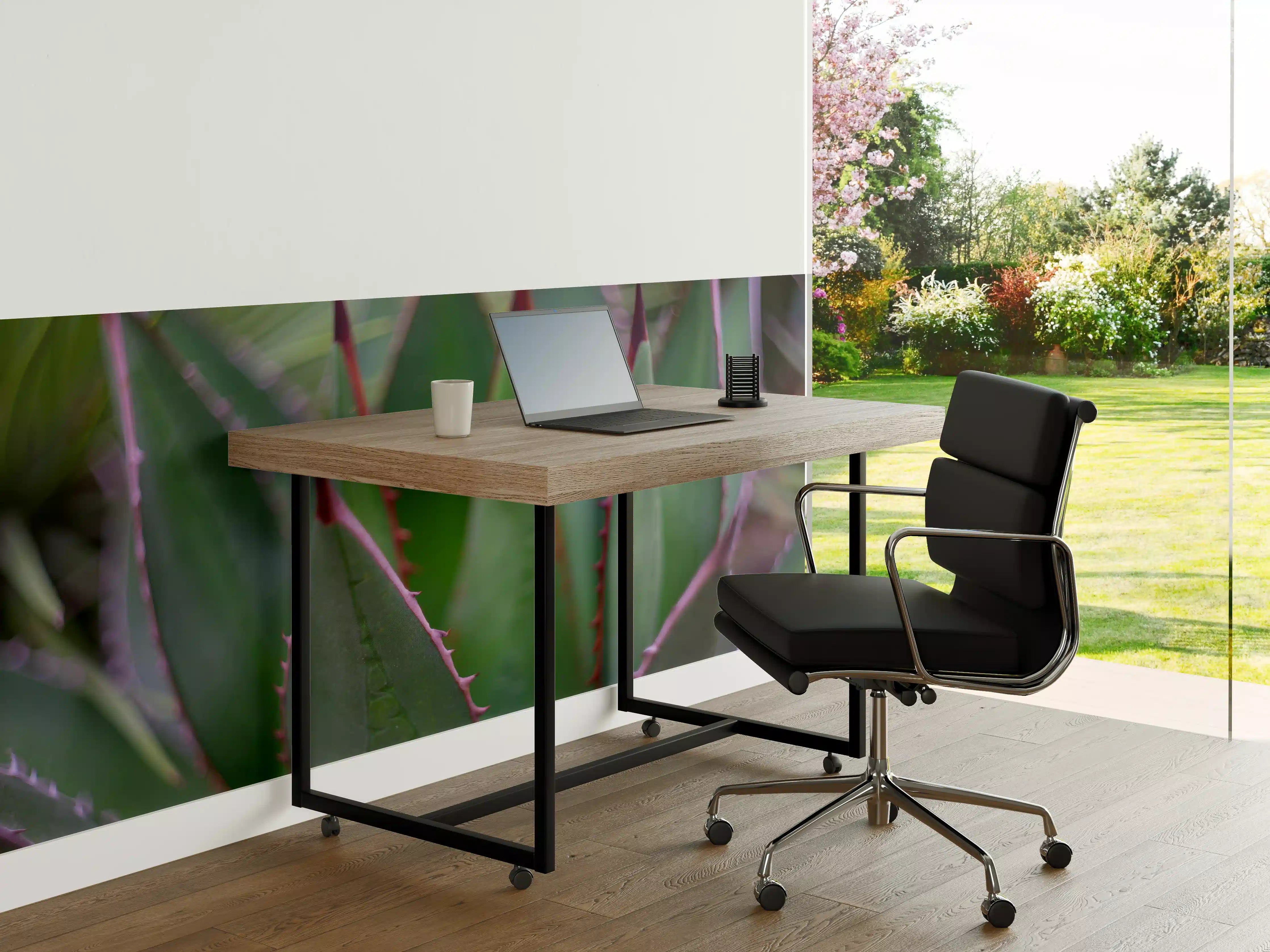 Büro Wandgestaltung - Nahaufnahme - Agave ghiesbreghti